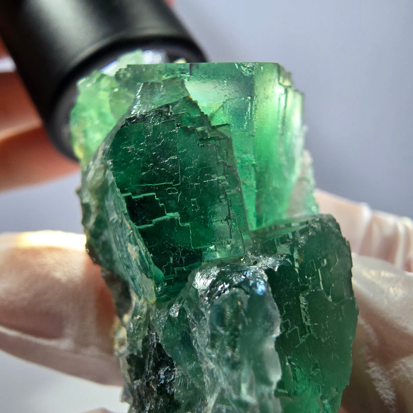 Spécimen de cube de fluorite fantôme transparente, vert parqueté, Okorusu, Namibie, 54 x 33 x 29 mm