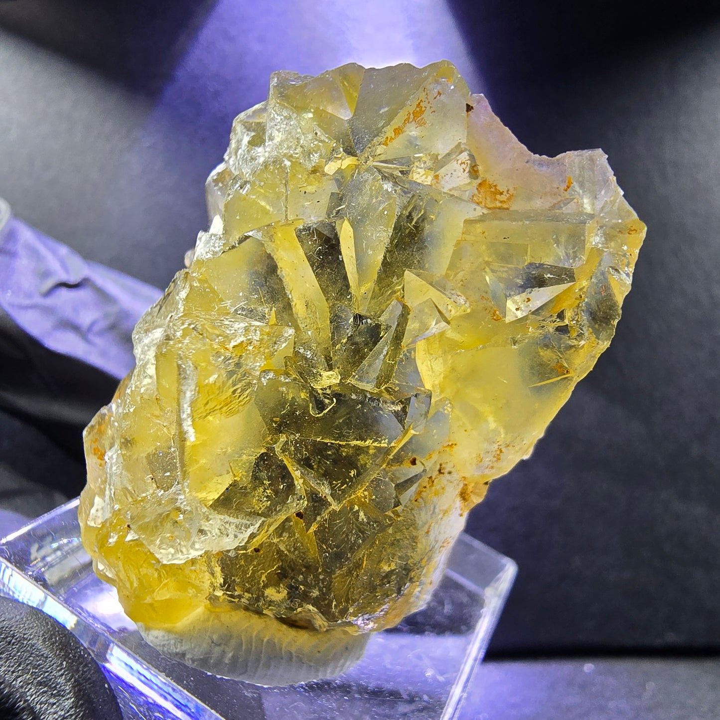 Seltene Honey Pocket Phantom Fluorit XX Würfel Stufe 35*26*14mm Okorusu, Namibia