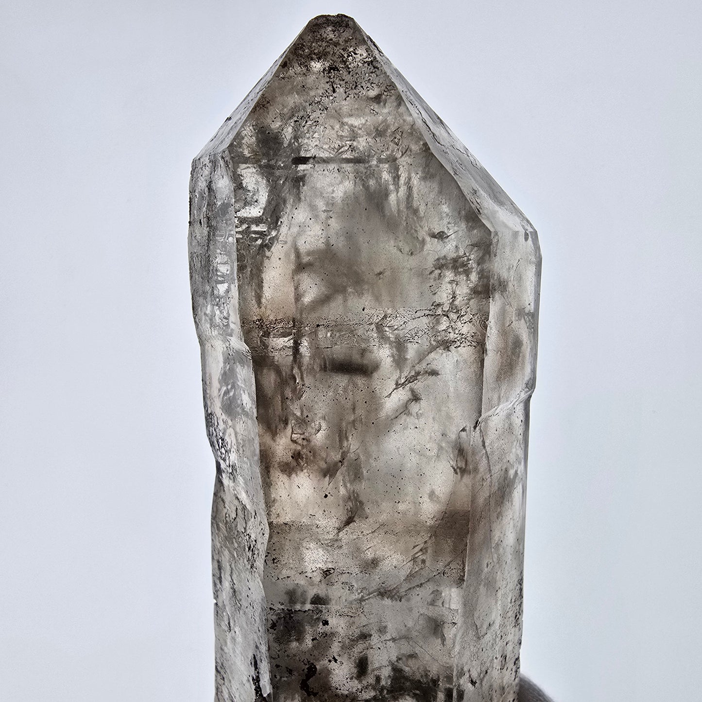 Sceptre XL Enhydro Skeleton Smoky Quartz DT, 4x Bubble Valentine Pocket, Namibie 233 x 54 x 47 mm