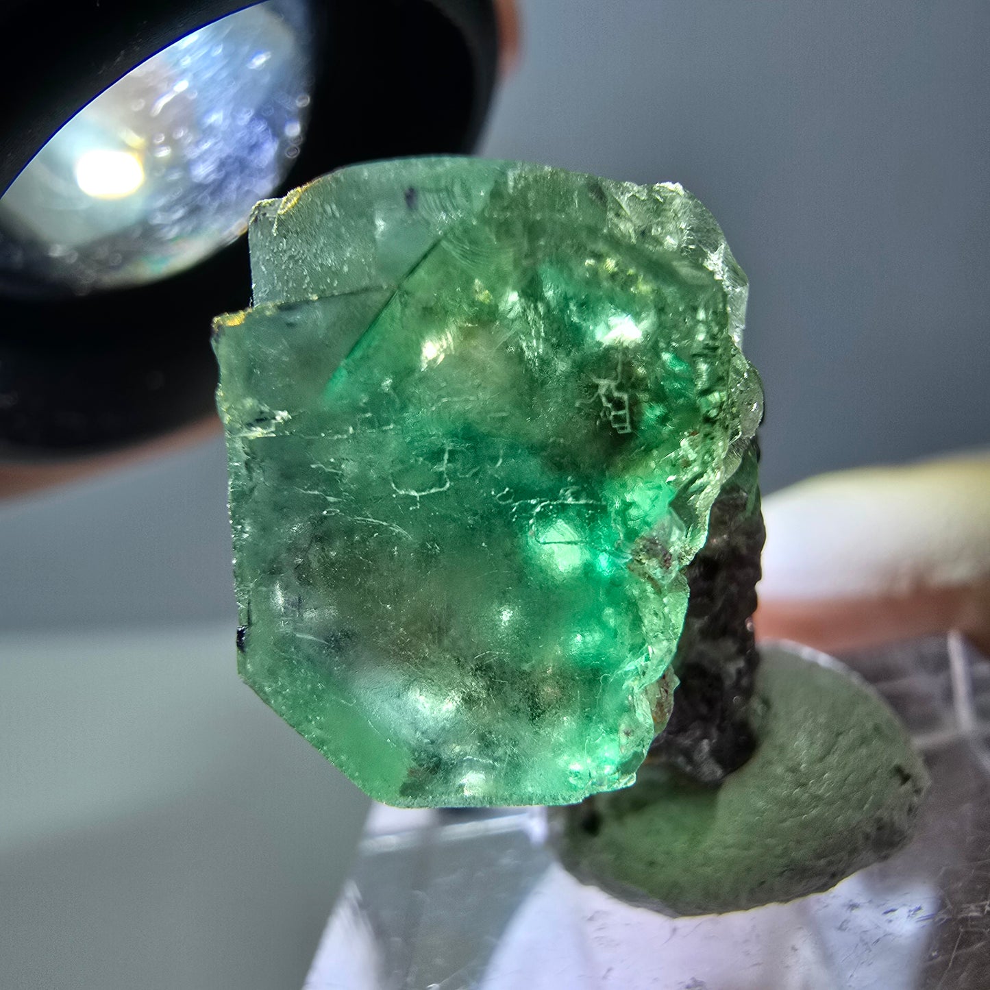 Phantom Fluorit Würfel Stufe, grün parkettiert Okorusu, Namibia 27*21*15mm