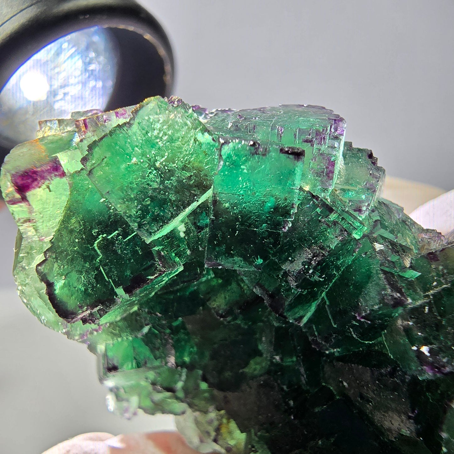 Spécimen de cube de fluorite fantôme, parqueté, zonal Okorusu, Namibie 51*34*28mm