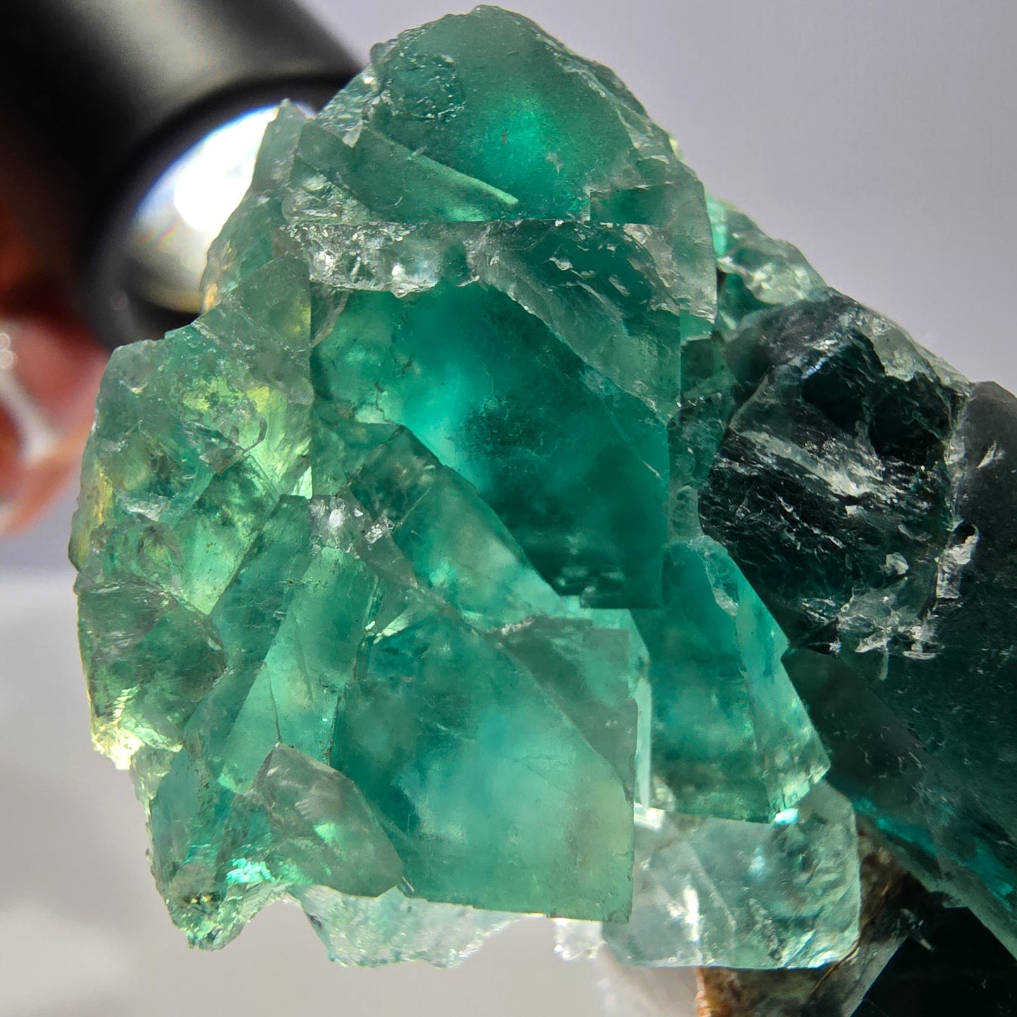 Rare spécimen de cube de fluorite fantôme, parqueté vert Okorusu, Namibie, 55 x 34 x 17 mm