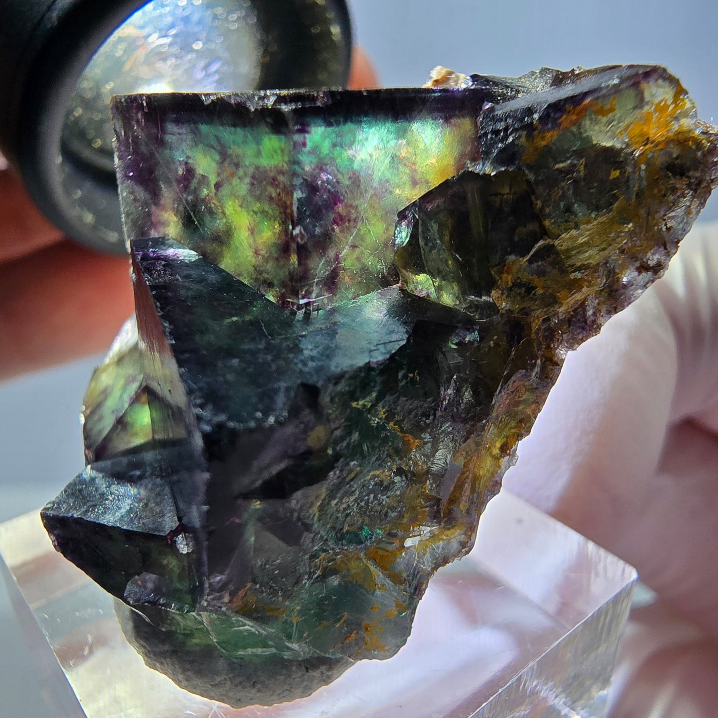 Phantom Fluorit Würfel Stufe, parkettiert grün lila Okorusu, Namibia 39*25*18mm