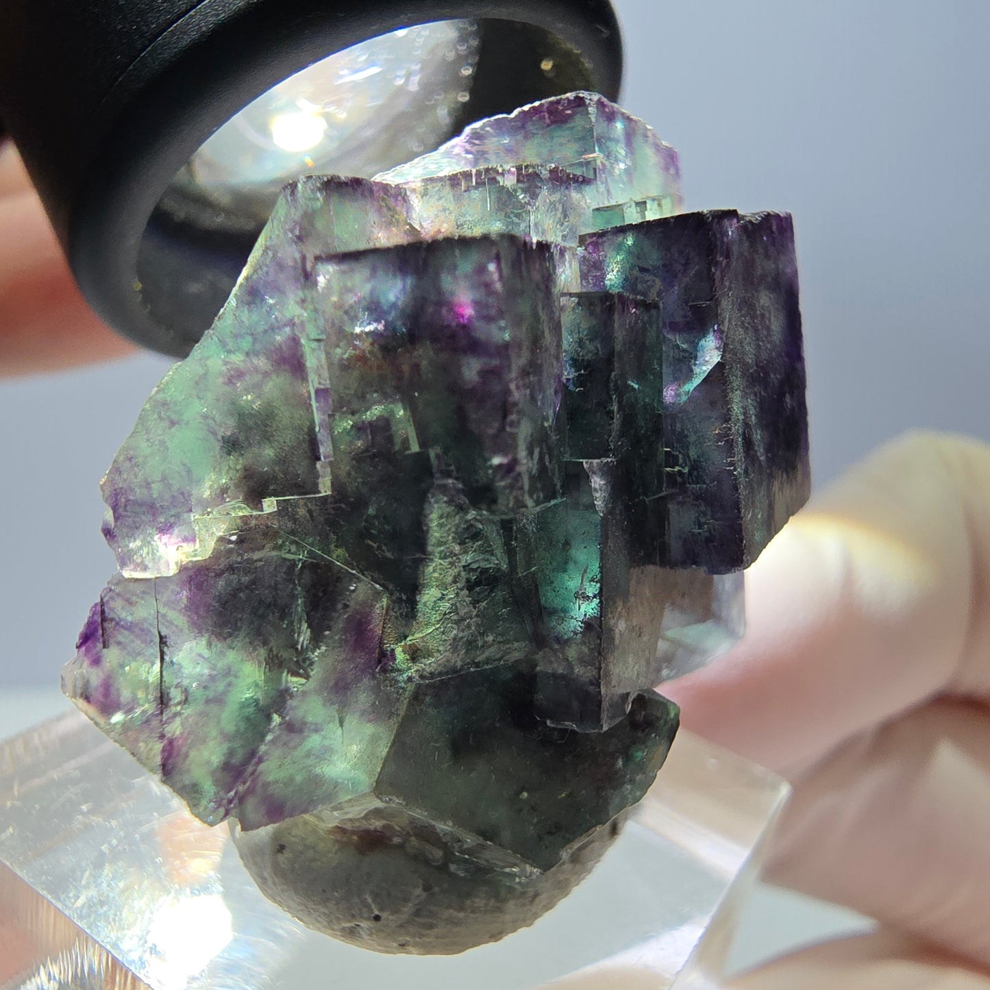 Phantom Fluorit Würfel Stufe, parkettiert grün lila Okorusu, Namibia 29*28*16mm