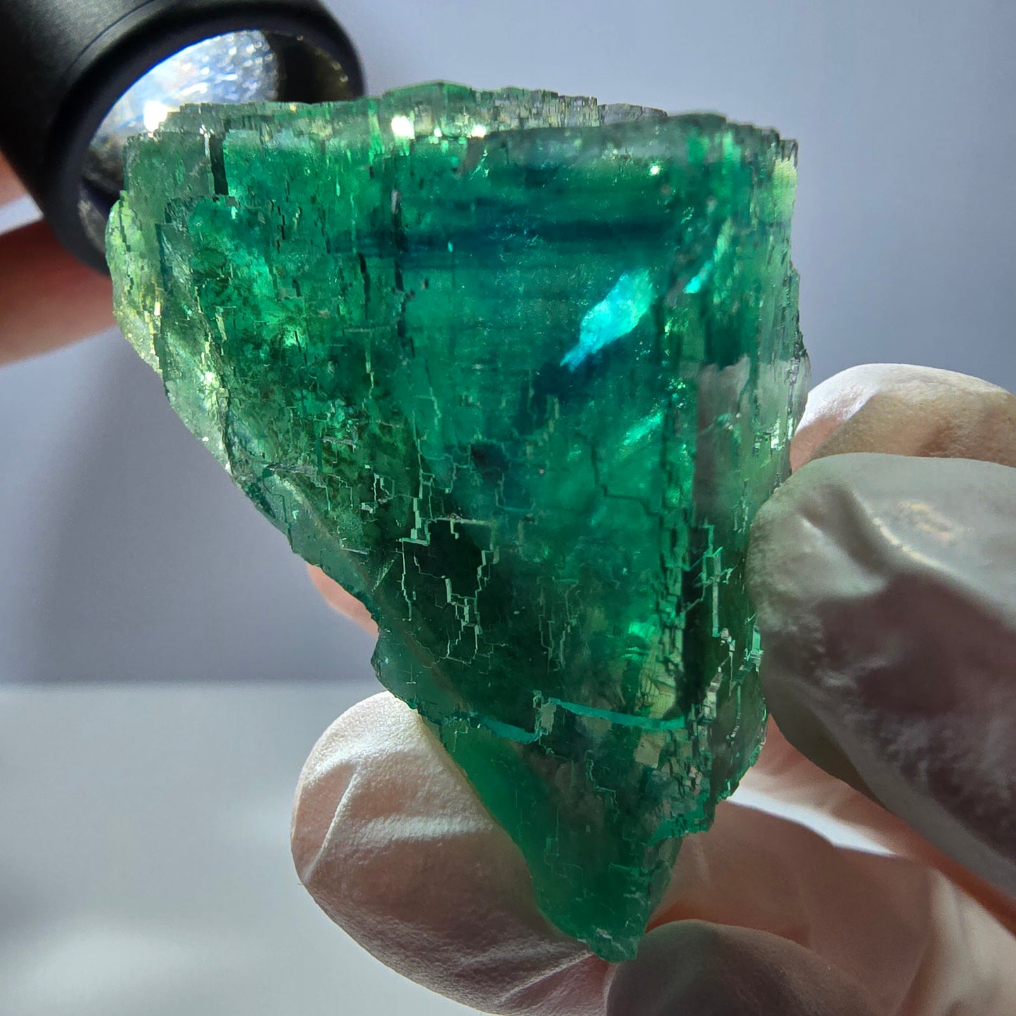 Spécimen de cube de fluorite fantôme transparente, vert parqueté, Okorusu, Namibie, 50 x 30 x 22 mm