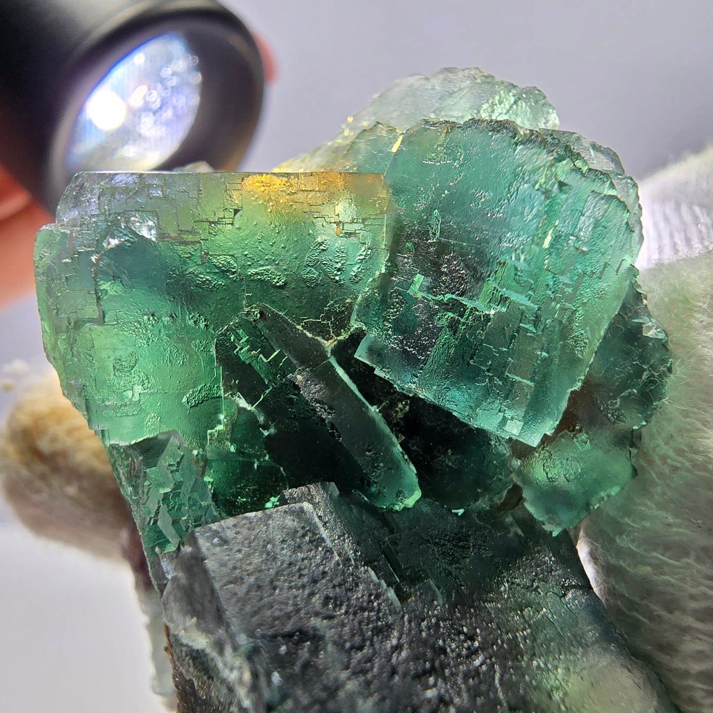 Rare spécimen de cube de fluorite fantôme, parqueté vert Okorusu, Namibie, 47 x 31 x 28 mm
