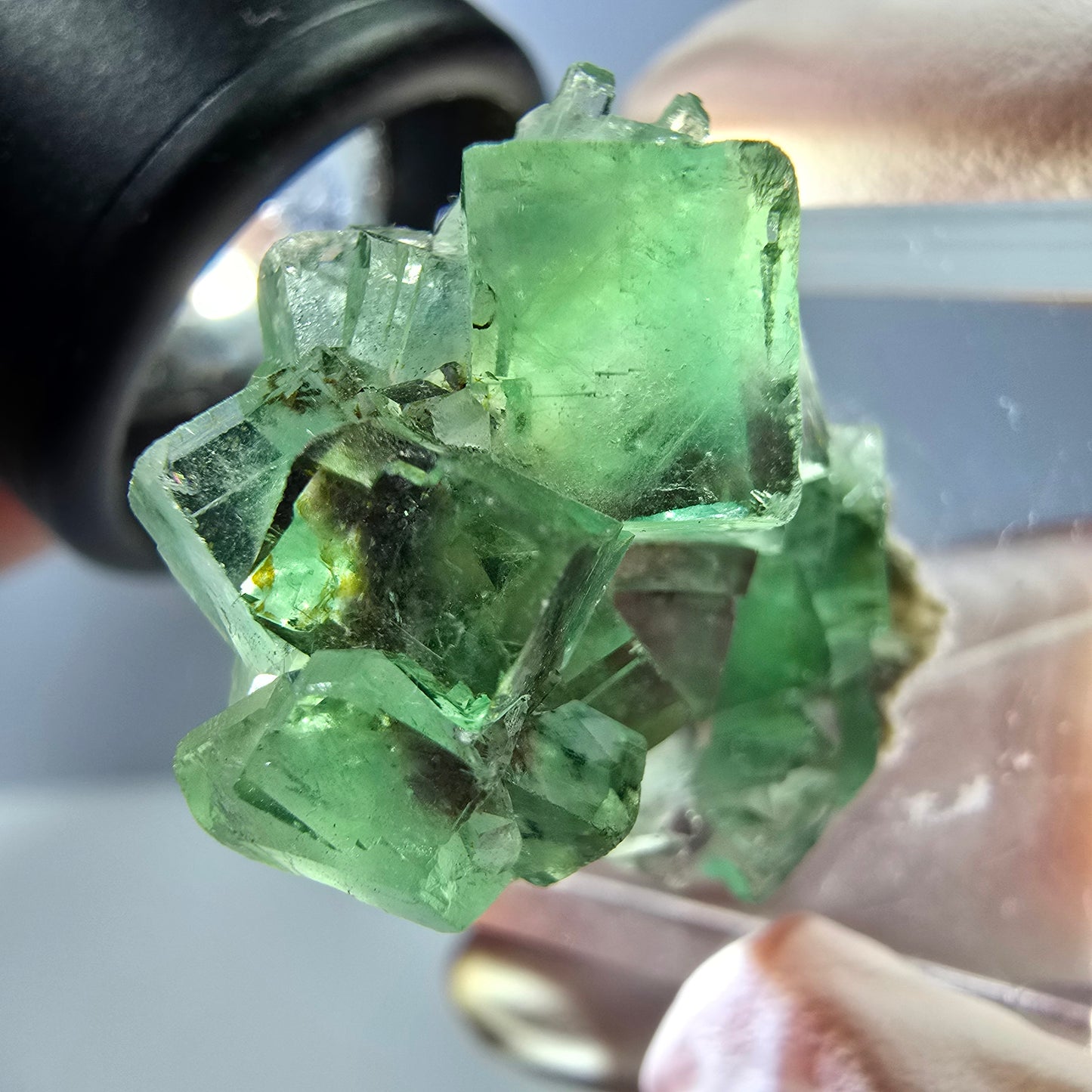 Spécimen de cube de fluorite fantôme, vert violet, Okorusu, Namibie, 25 x 24 x 15 mm