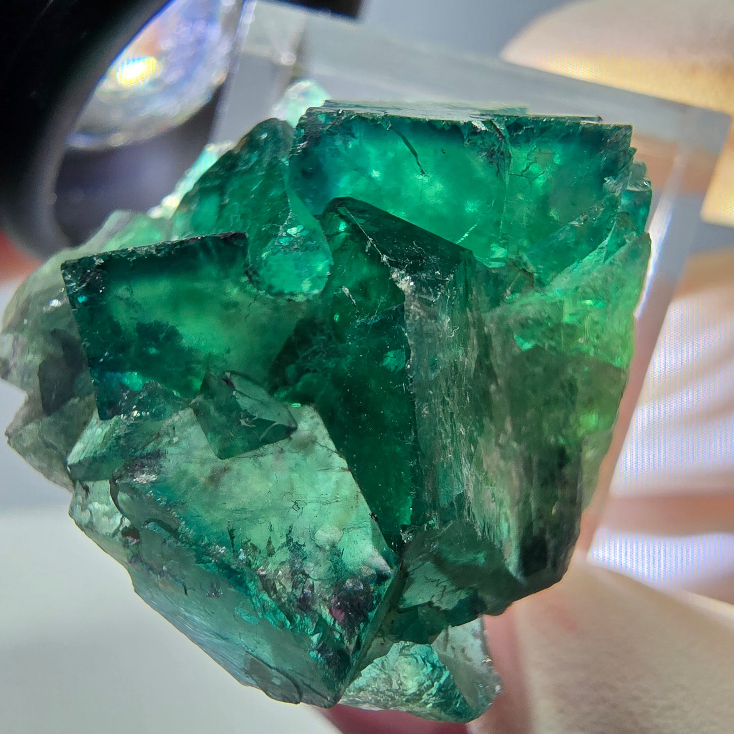 Phantom Fluorit Würfel Stufe, grün parkettiert Okorusu, Namibia 27*27*17mm