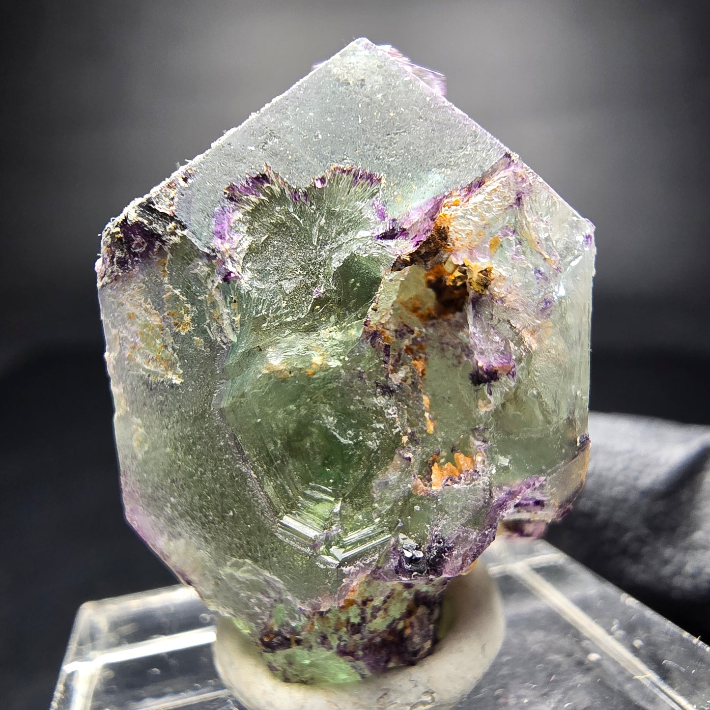 Zonar Phantom Fluorite Cube Tier Vert Violet Erongo Namibie 29*20*17mm