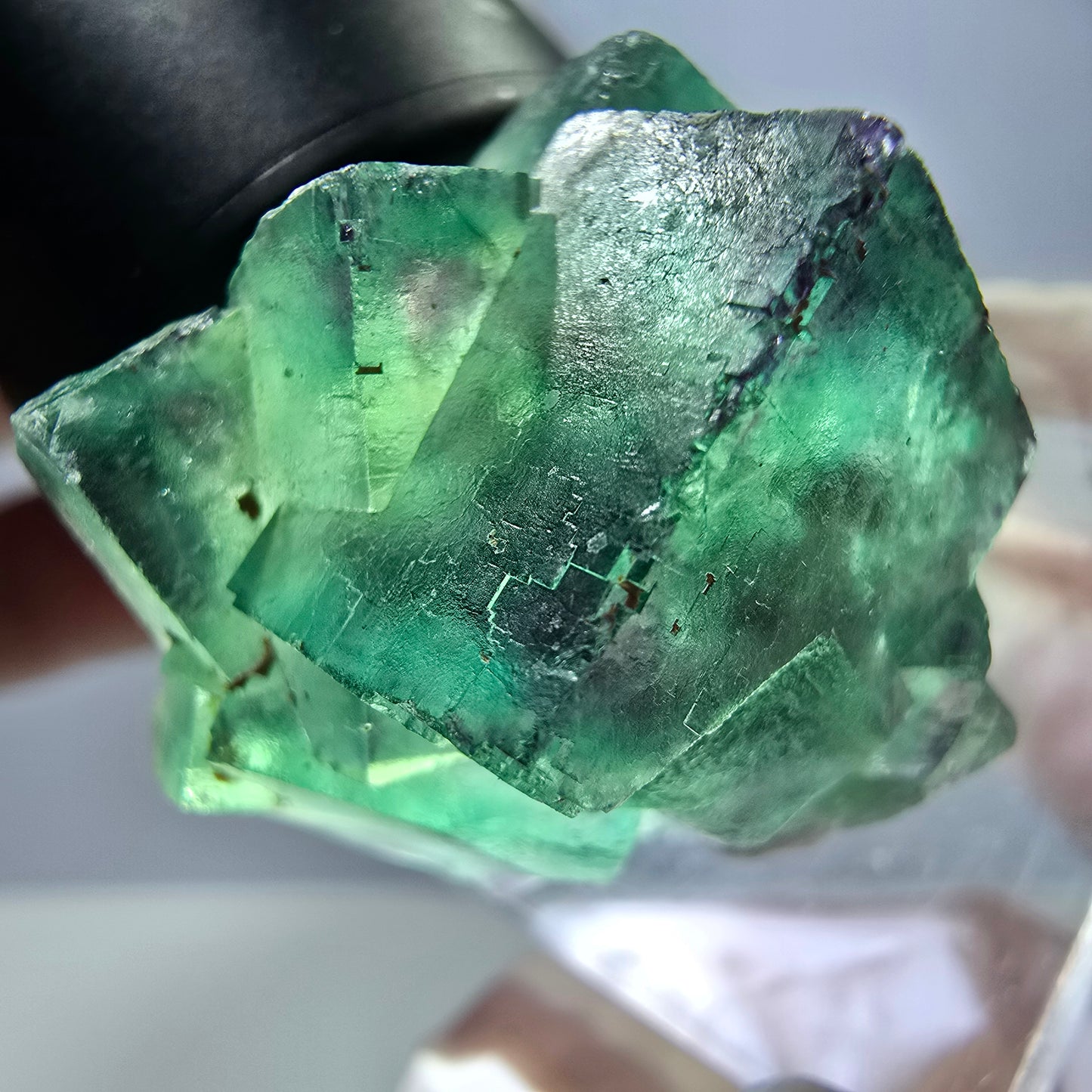 Rare spécimen de cube de fluorite, vert-violet, Okorusu, Namibie, 33 x 26 x 22 mm