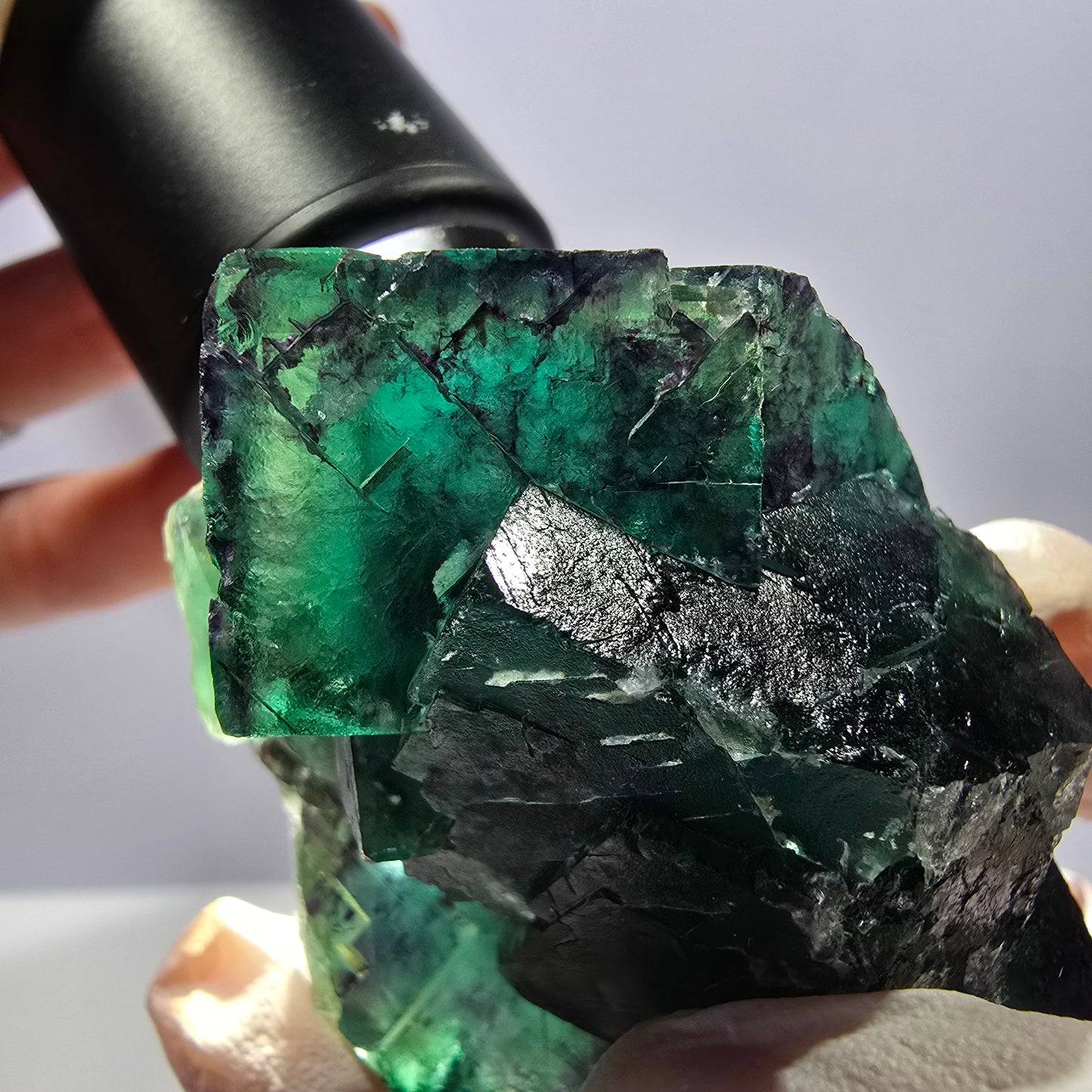 Spécimen de cube de fluorite fantôme, parqueté, vert violet Okorusu, Namibie 62*46*32mm