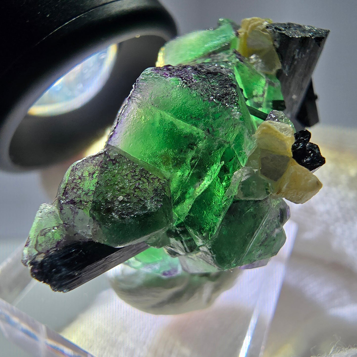 Cube de fluorite fantôme zonal, tourmaline muscovite Schorl Erongo Namibie 36 x 22 x 19 mm