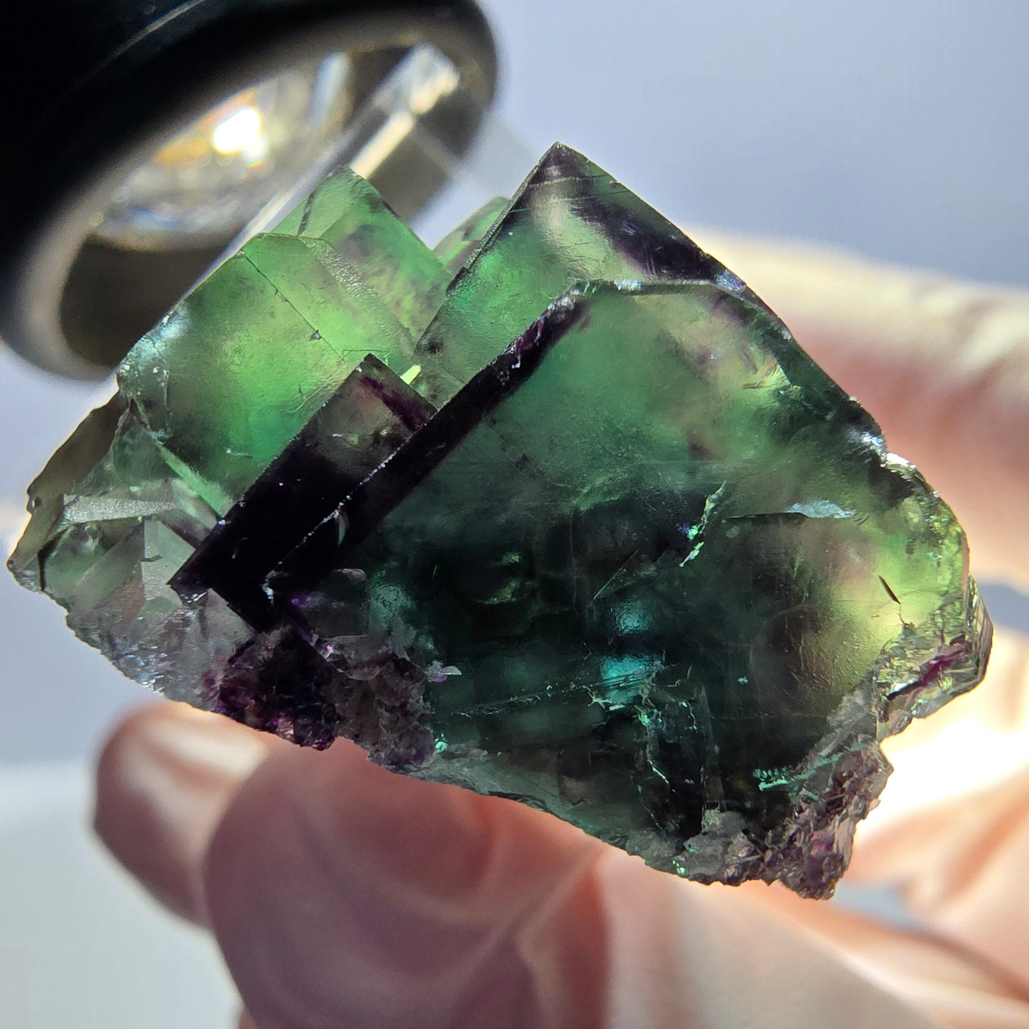 Spécimen de cube de fluorite fantôme, parqueté vert violet Okorusu, Namibie 26*25*16 mm