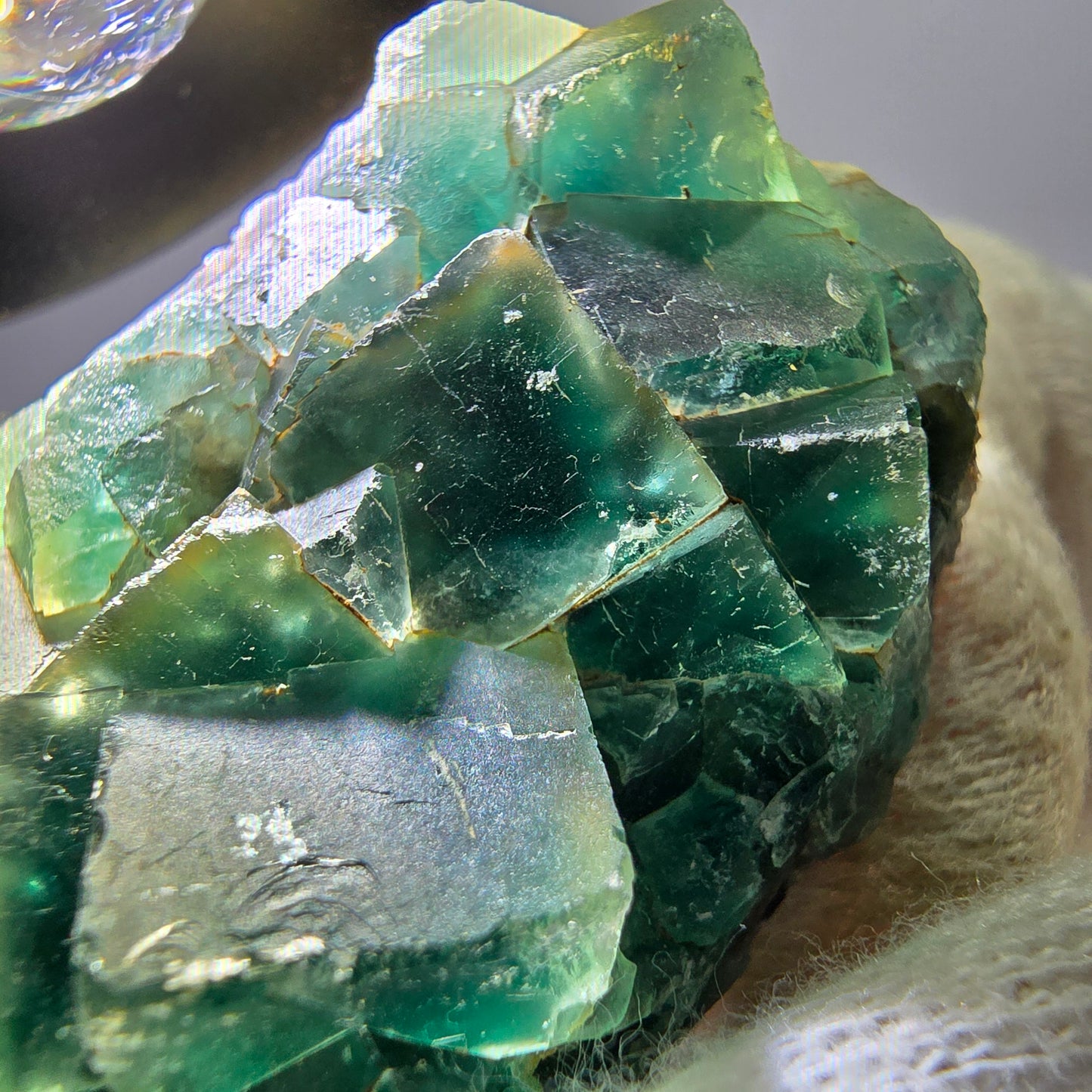 Spécimen rare de cube de fluorite fantôme, vert Okorusu Namibie 56 x 31 x 17 mm