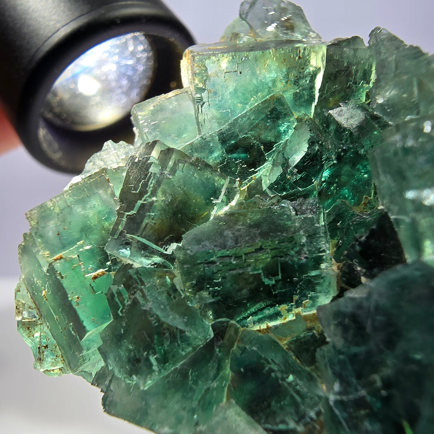 Spécimen de cube de fluorite fantôme transparente, vert parqueté, Okorusu, Namibie, 57 x 44 x 19 mm