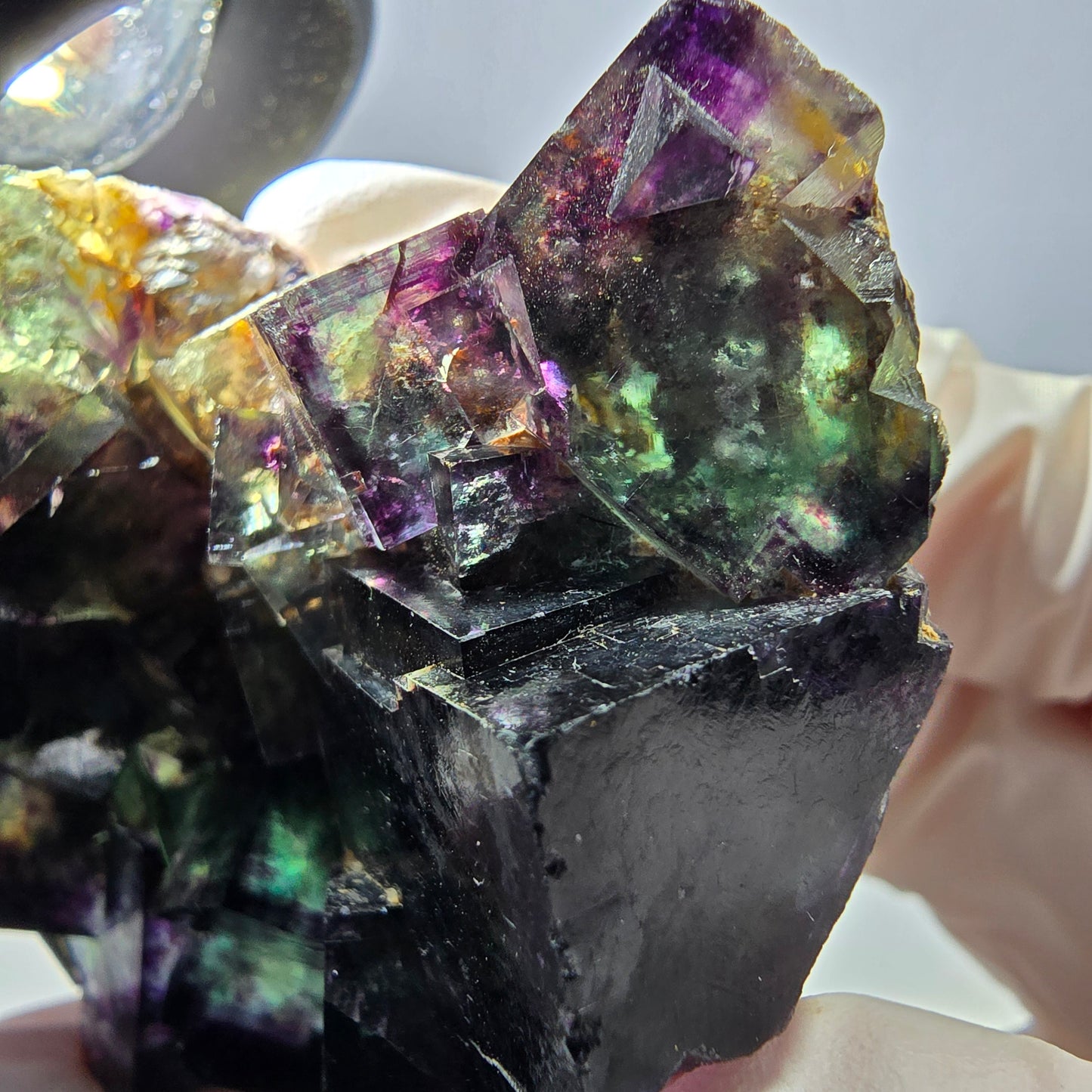 Spécimen de cube de fluorite fantôme, parqueté vert violet, Okorusu, Namibie 57*50*35 mm