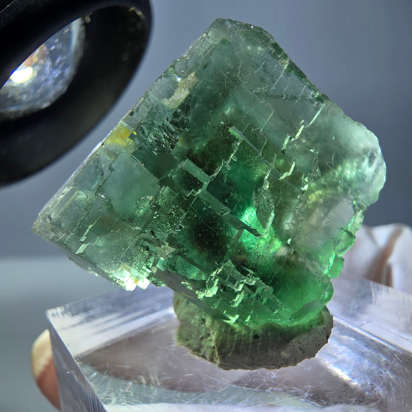 Cube de fluorite fantôme transparente parquetée, vert Okorusu, Namibie 23 x 21 x 15 mm