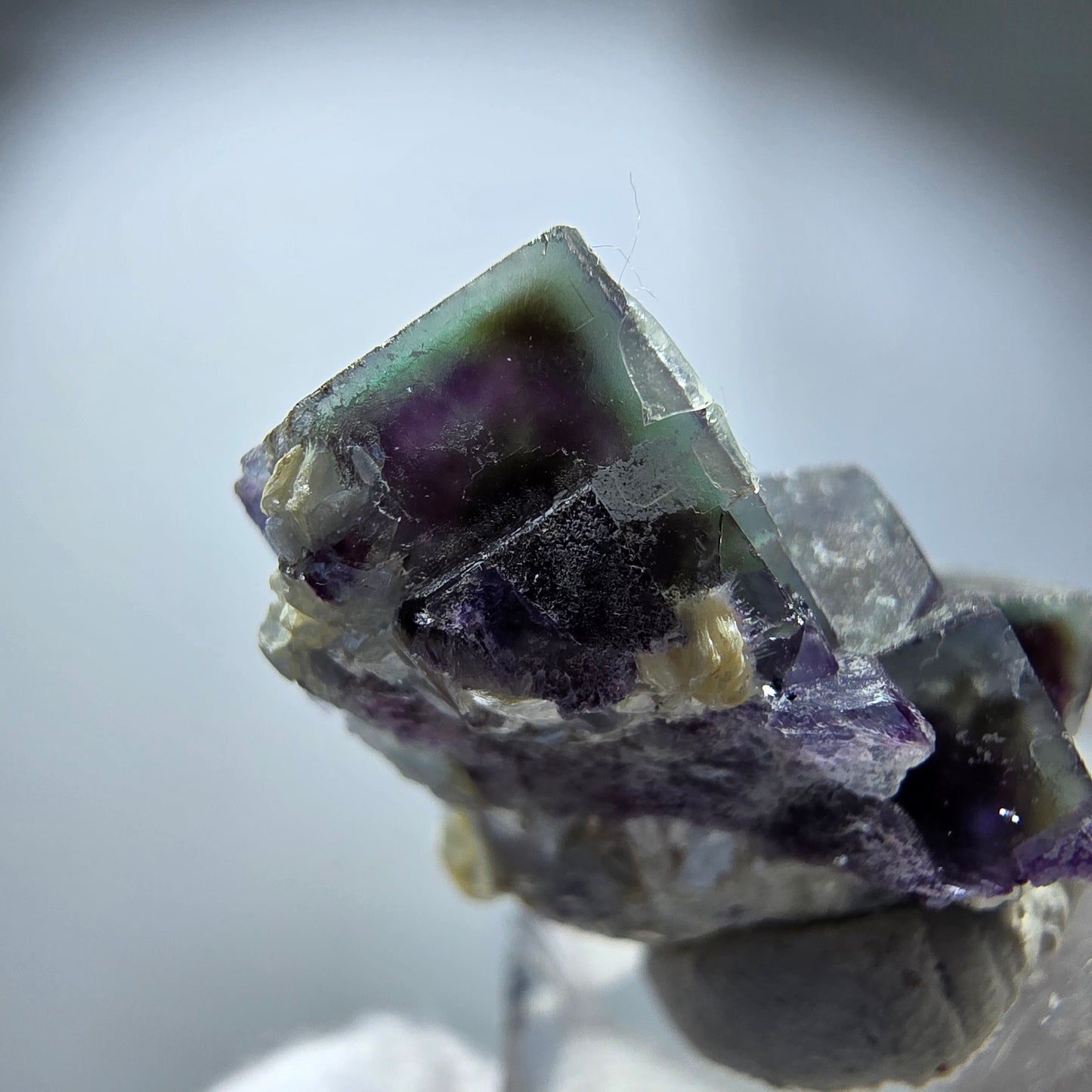 Spécimen de cube de fluorite fantôme coloré, vert violet jaune, Erongo, Namibie 29 x 20 x 14 mm
