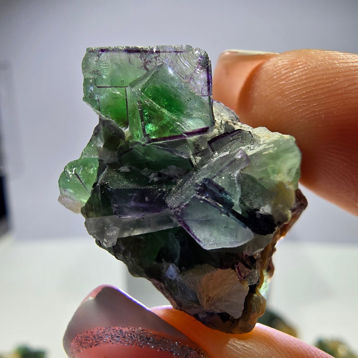 Lot de 16 fluorites fantômes, hyalites, tourmalines Schörl, muscovites, marches d'Erongo, Namibie