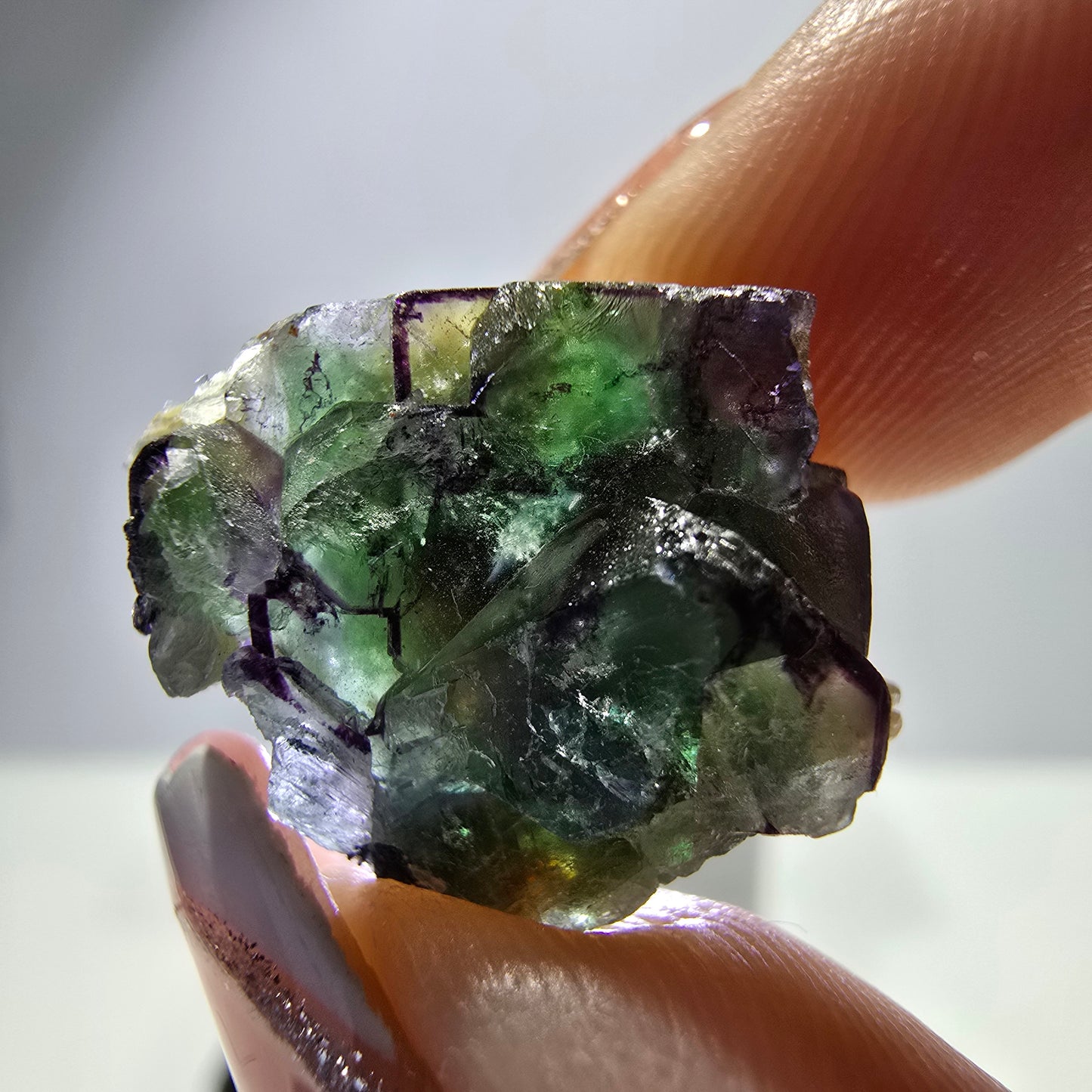 Lot de 16 fluorites fantômes, hyalites, tourmalines Schörl, muscovites, Erongo, Namibie
