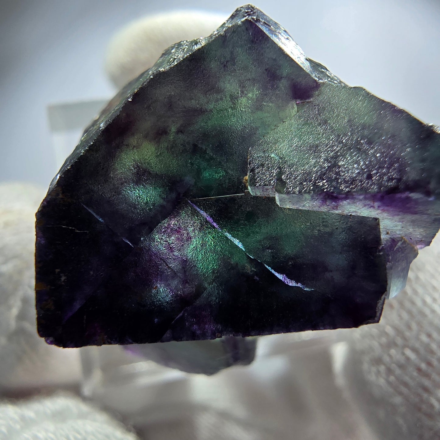 Spécimen rare de cube de fluorite fantôme, vert zonal et violet, Okorusu, Namibie, 29 x 23 x 20 mm