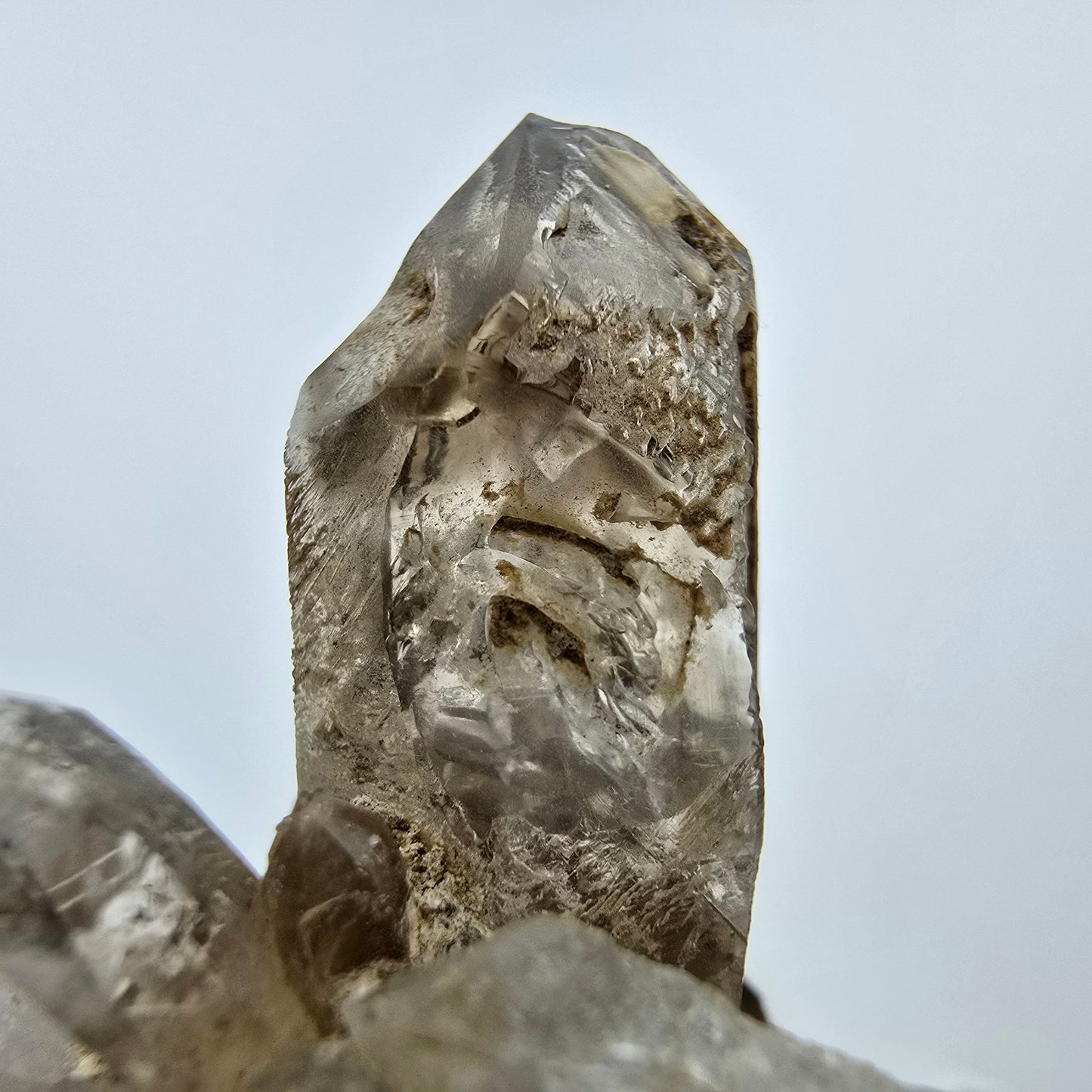 Phantom Rauchquarz Zepter auf Matrix Goboboseb, Namibia 57*51*47mm Sammlung