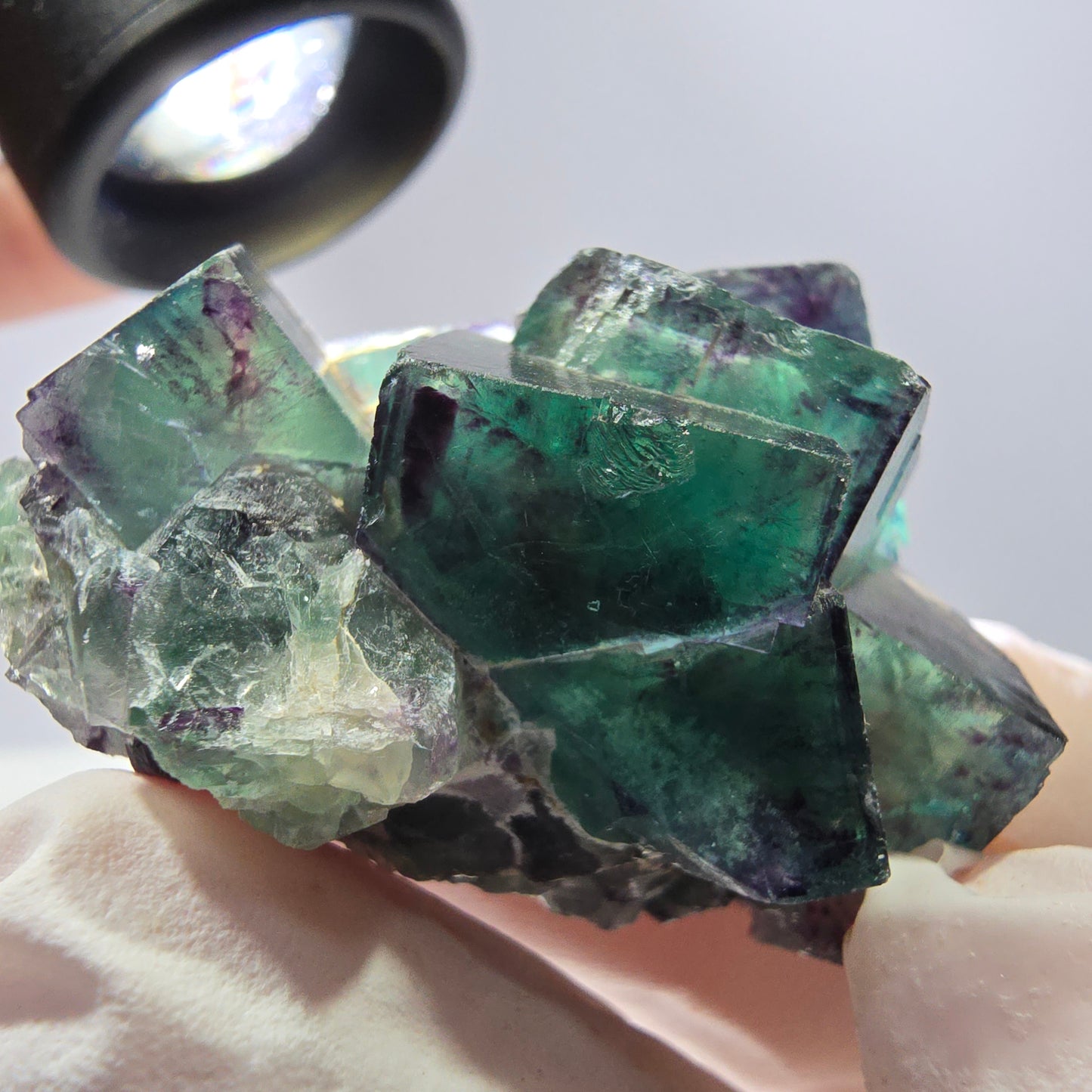 Spécimen de cube de fluorite fantôme parqueté vert violet Okorusu, Namibie 45*40*24 mm