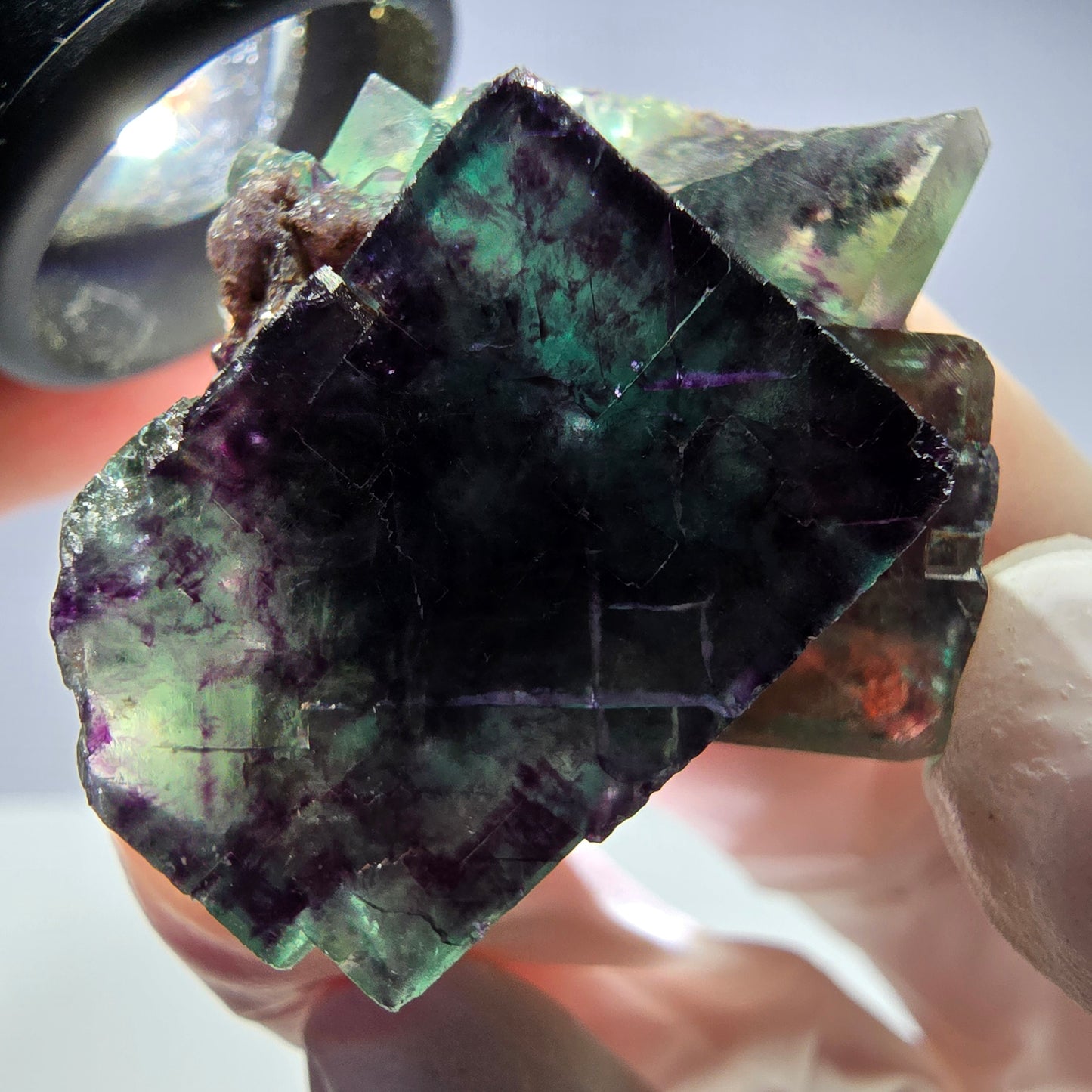 Spécimen de cube de fluorite fantôme parqueté vert violet Okorusu, Namibie 32*31*24 mm
