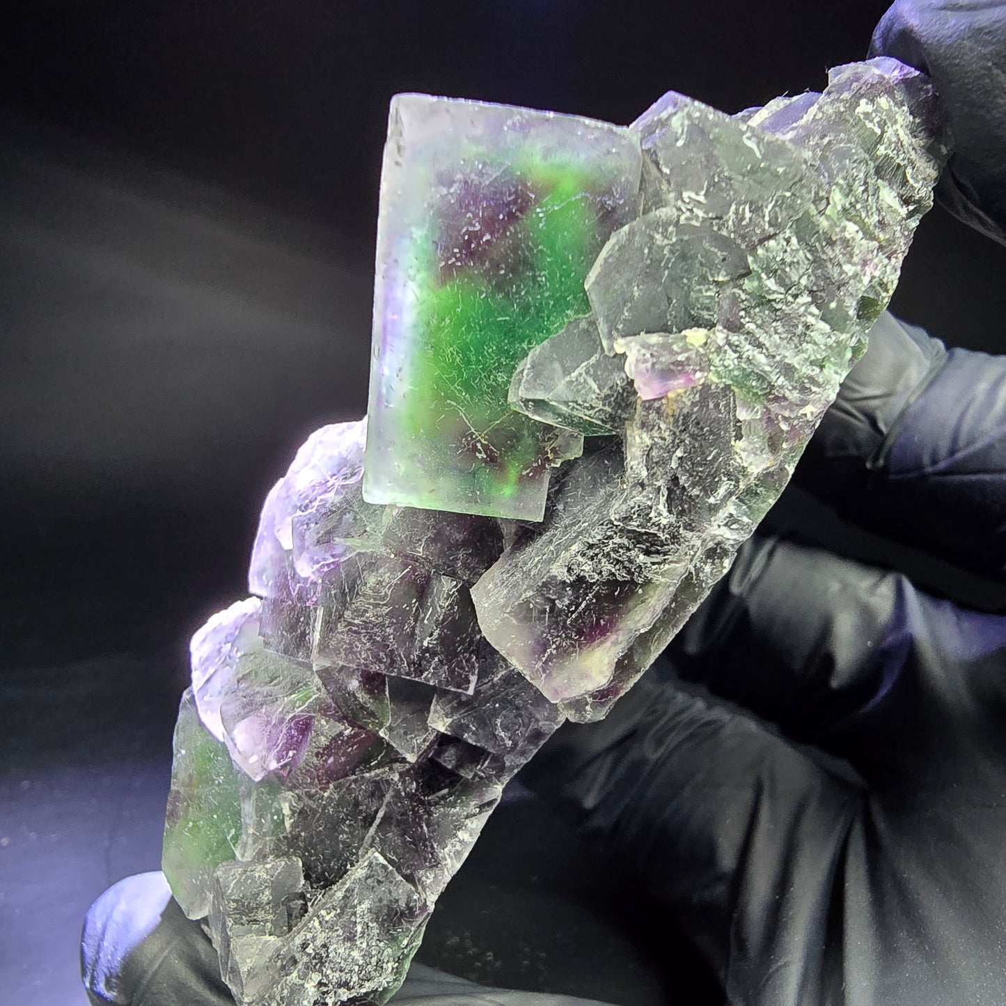 Rare niveau de cube de fluorite fantôme violet vert 86*46*31mm d'Okorusu, Namibie