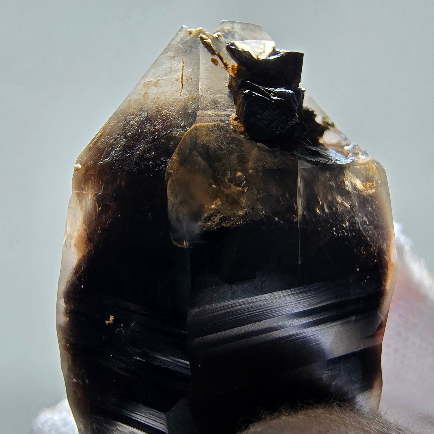 Skeleton Phantom Smoky Quartz DT Scepter Valentine Pocket, Namibia 50*29*20mm