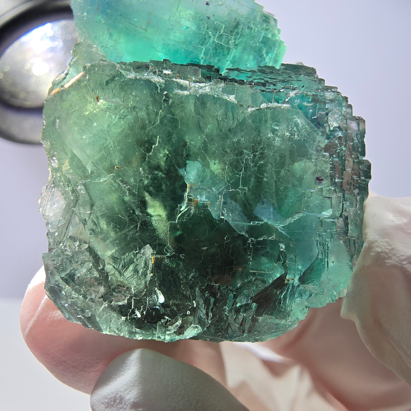 Spécimen de cube de fluorite fantôme transparente, parqueté vert Okorusu, Namibie 49 x 31 x 31 mm