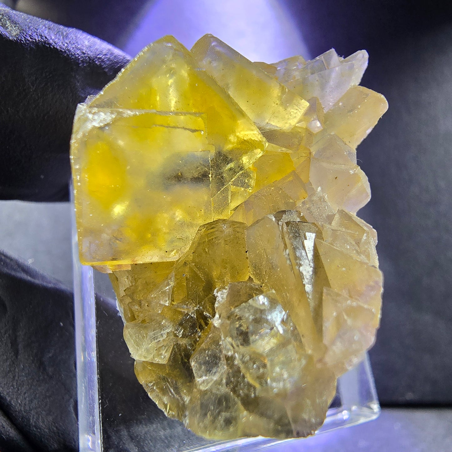 Seltene Honey Pocket Phantom Fluorit XX Würfel Stufe 31*20*19mm Okorusu, Namibia