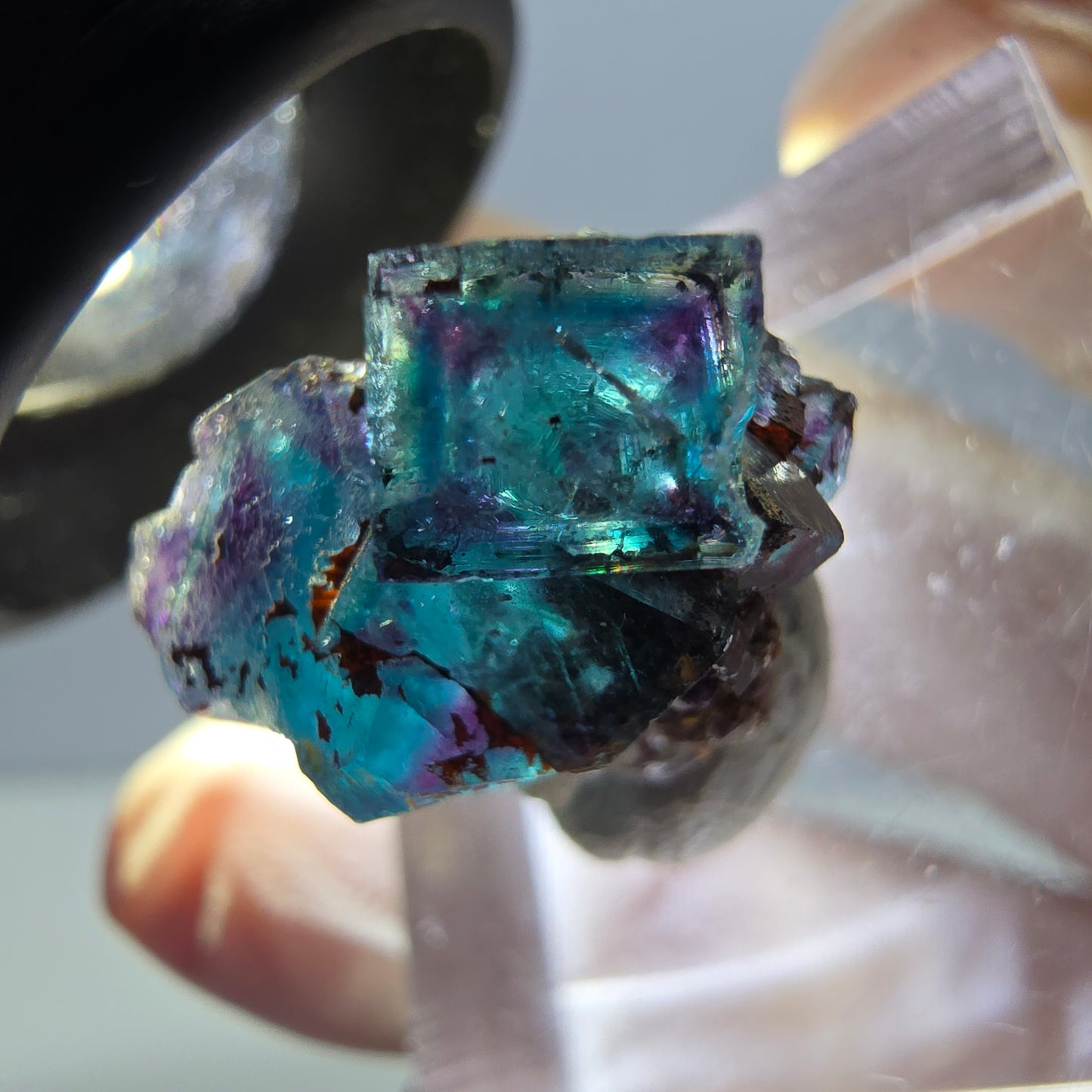 Spécimen de cube de fluorite fantôme, parqueté vert violet Okorusu, Namibie 20 x 15 x 12 mm
