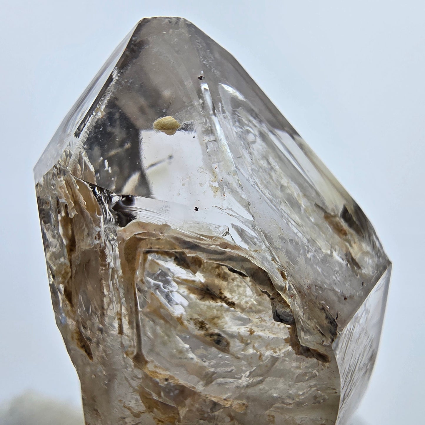 Phantom Rauchquarz Fenster Zepter Kristall Goboboseb Namibia 45*29*25mm Sammlung