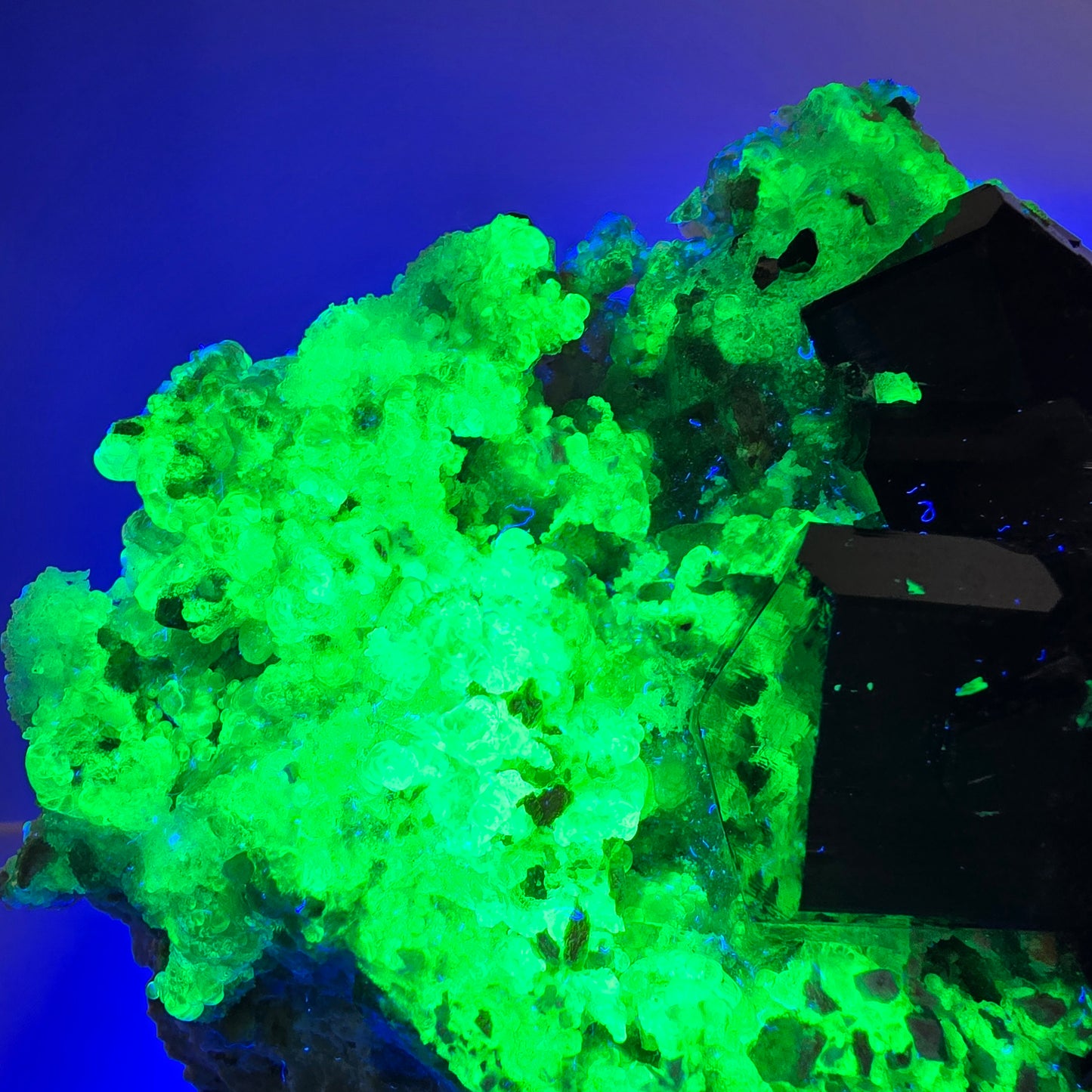 Grand spécimen de tourmaline Schorl, hyalite, quartz fumé et orthose, Erongo, Namibie, 123 x 92 x 47 mm