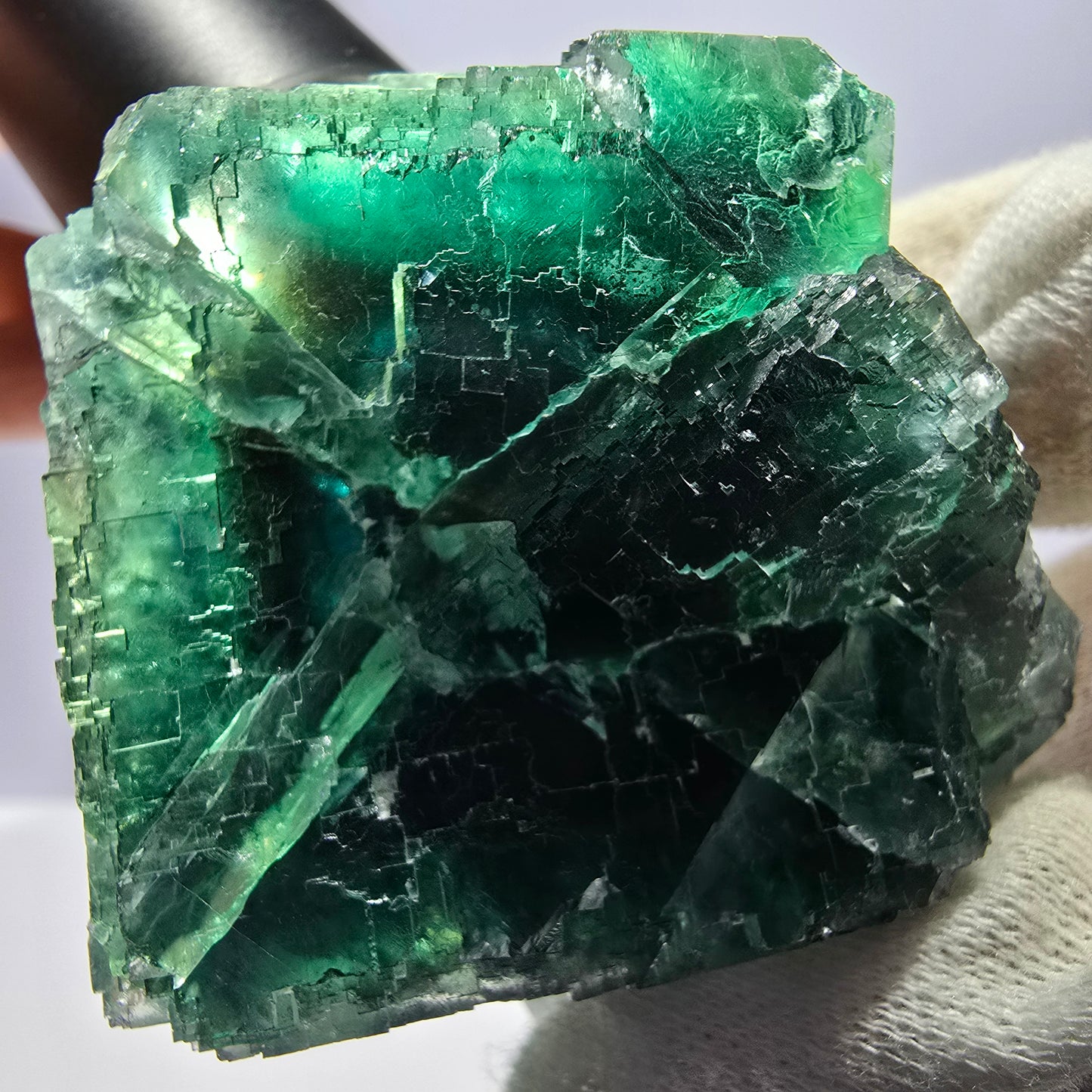 Cube de fluorite fantôme parqueté vert violet Okorusu Namibie 65*61*37mm