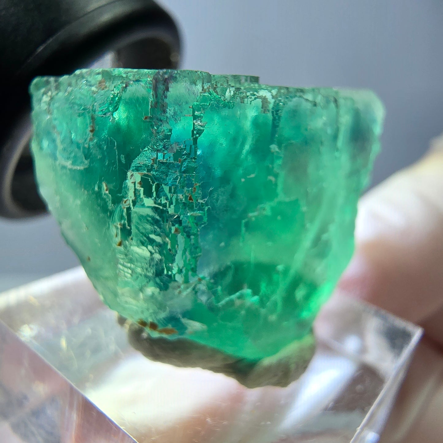 Cube de fluorite fantôme transparente parquetée, vert Okorusu, Namibie 30 x 23 x 21 mm