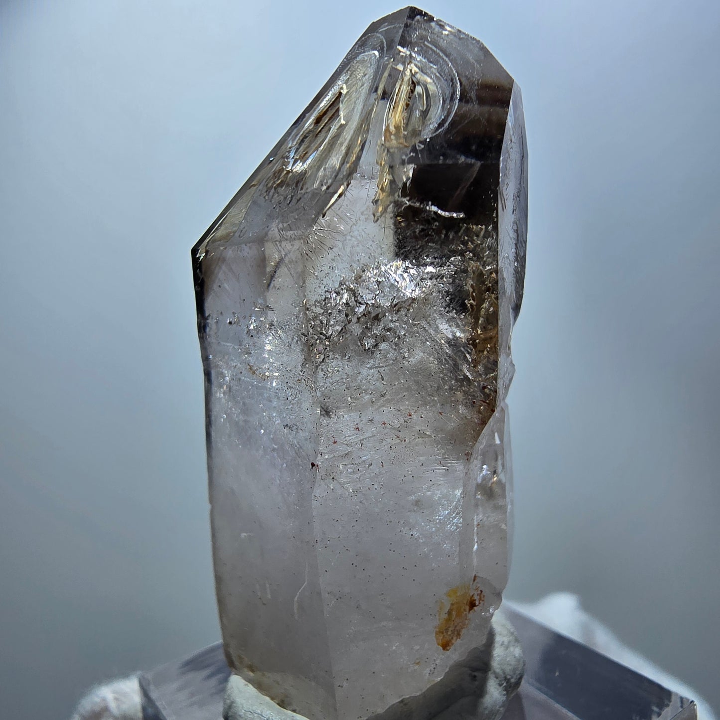 Quartz fumé fantôme transparent, pointe de sceptre, Goboboseb, Namibie, 45 x 23 x 18 mm