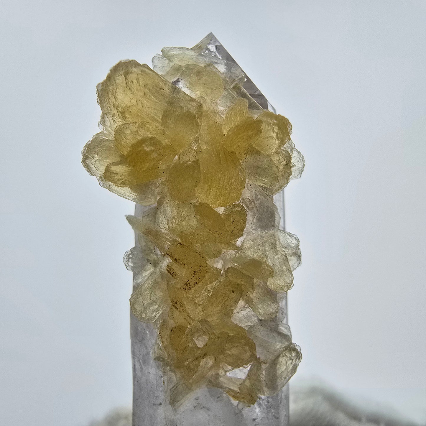 Phantom Amethyst Kristall mit Stilbit Goboboseb, Namibia 48*17*14mm Sammlung
