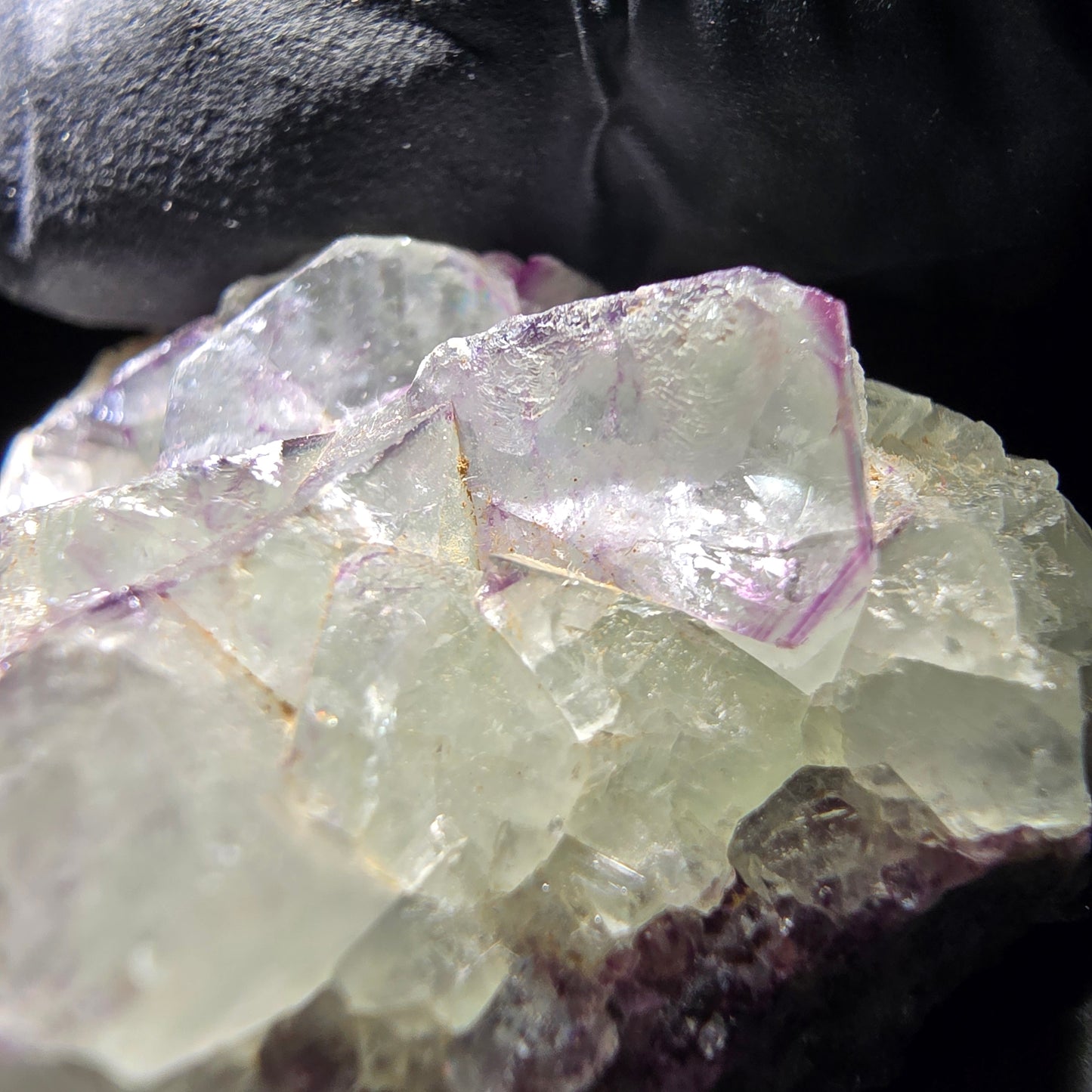 Zonare Fluorite Cube Tier Violet Vert Okorusu, Namibie 44*41*19mm Collection