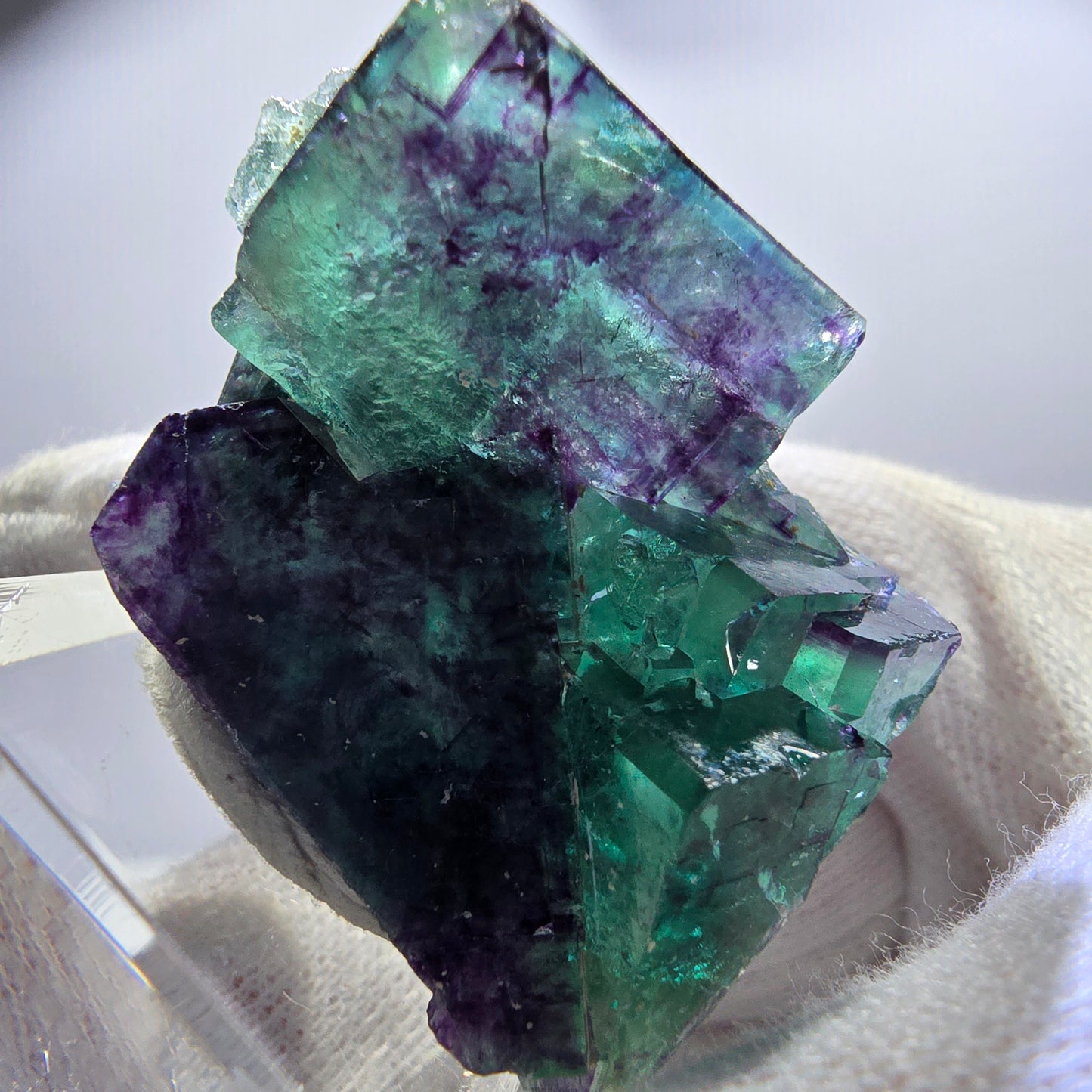 Spécimen rare de cube de fluorite fantôme, vert-violet zonal, Okorusu, Namibie, 46 x 37 x 24 mm