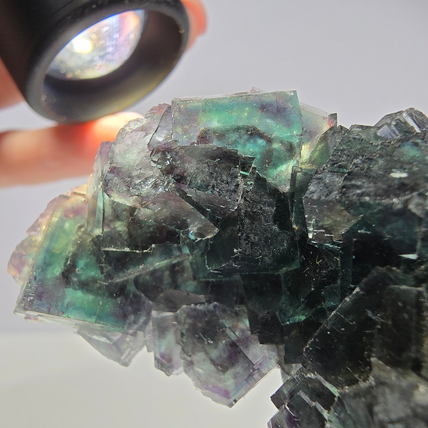 Spécimen de cube de fluorite fantôme, parqueté vert-brun Okorusu, Namibie 89 x 42 x 26 mm
