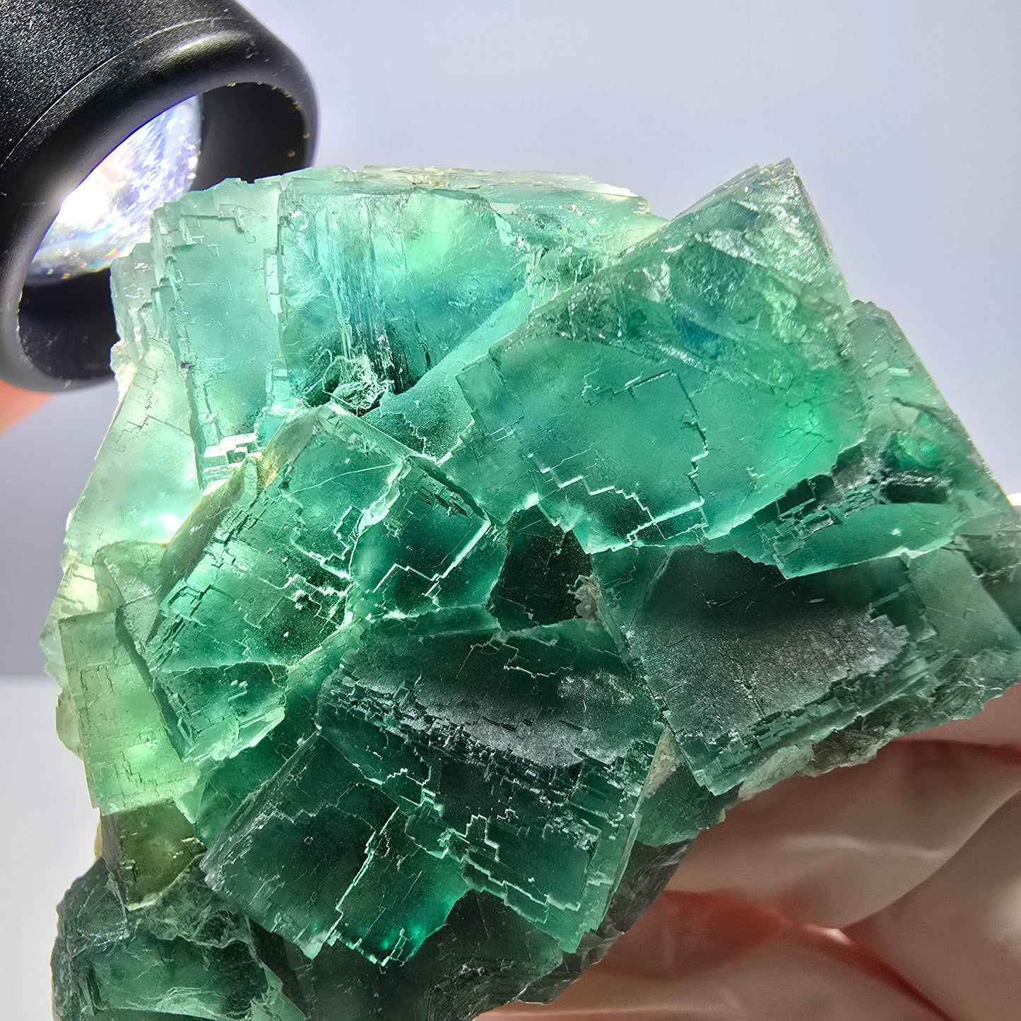 Rare spécimen de cube de fluorite fantôme, parqueté vert Okorusu, Namibie, 61 x 45 x 28 mm