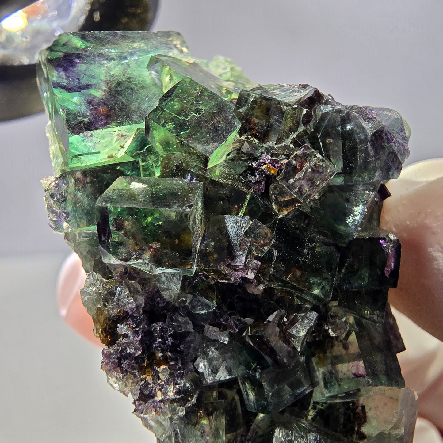 Spécimen de cube de fluorite fantôme parqueté vert violet Okorusu, Namibie 50*34*31mm