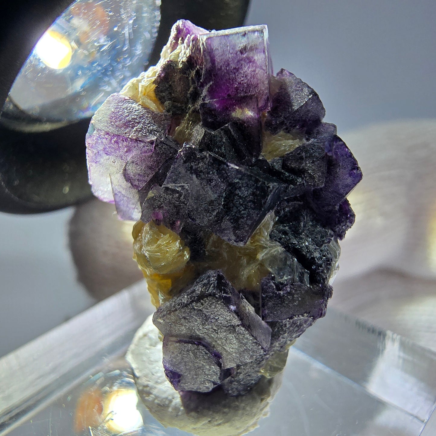 Cubes de fluorite fantôme colorés, spécimen de muscovite, Erongo, Namibie, 26 x 19 x 15 mm