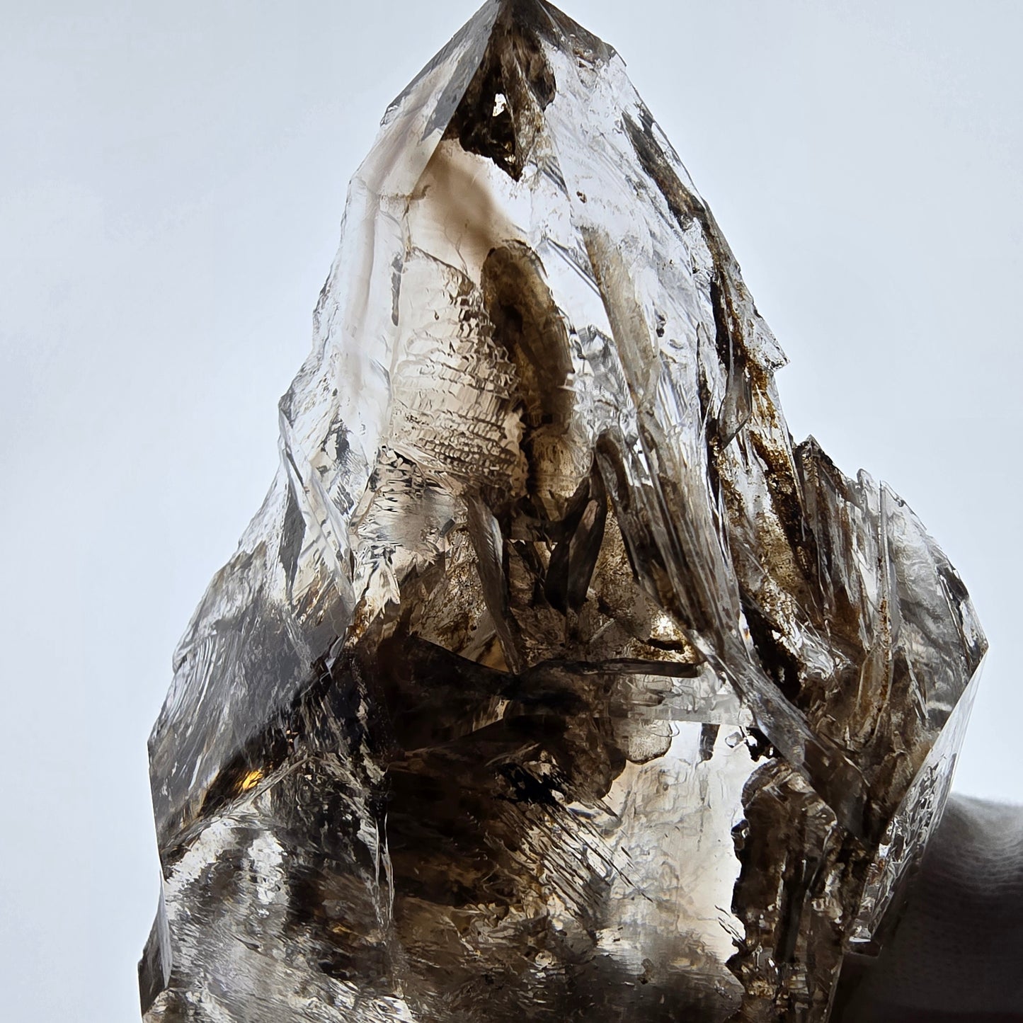 Sceptre de poche Saint-Valentin en quartz fumé fantôme squelette, Namibie 122 x 72 x 32 mm