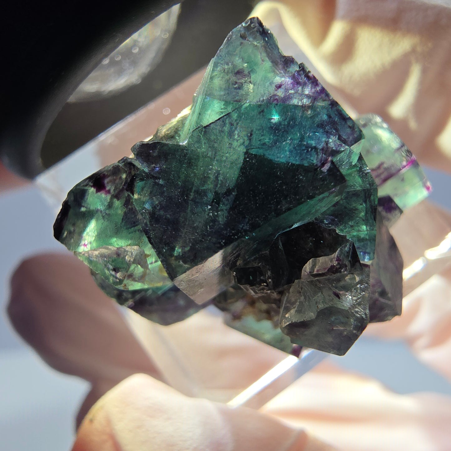Spécimen de cube de fluorite fantôme, parqueté vert violet Okorusu, Namibie 27*21*19 mm