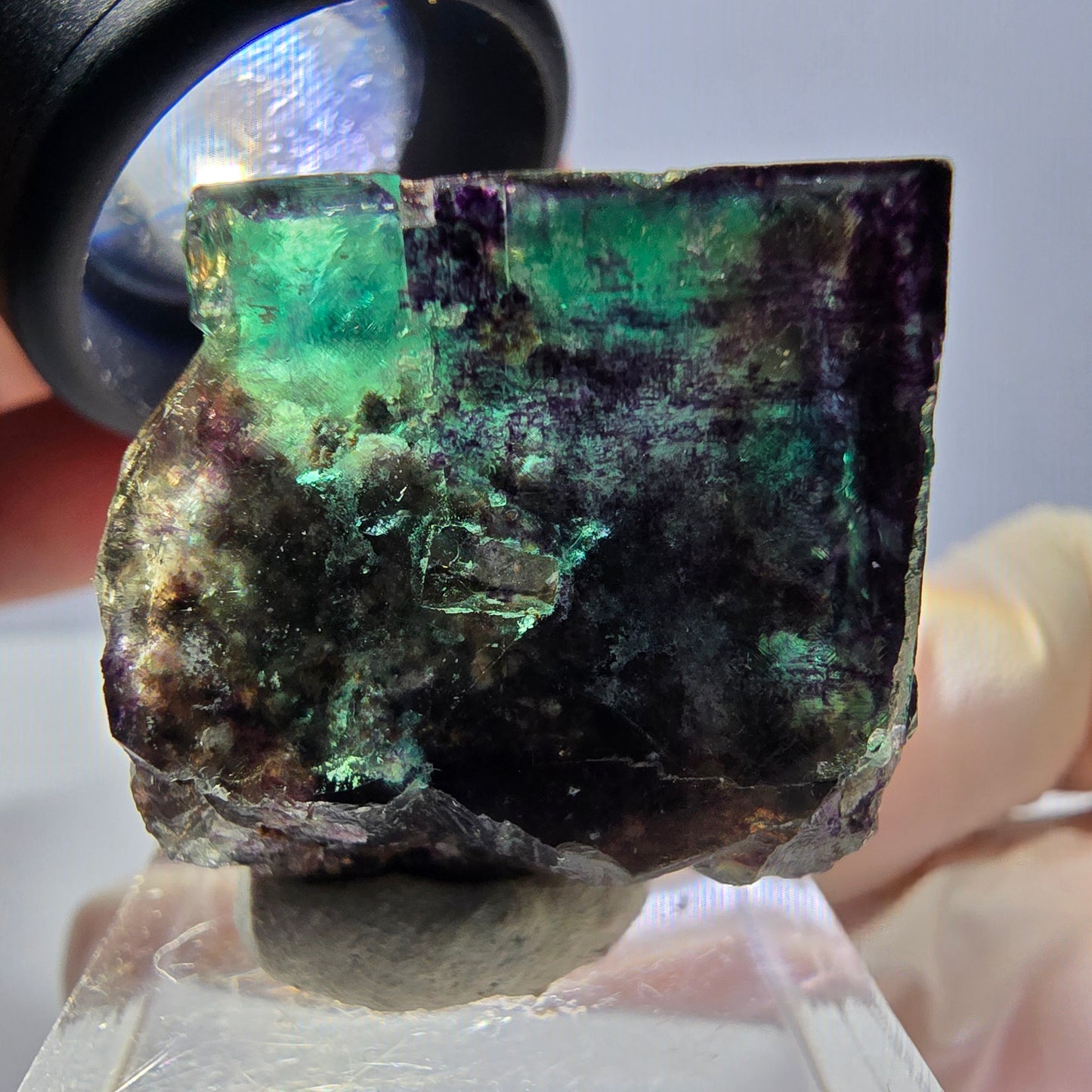 Phantom Fluorit Würfel Stufe, parkettiert grün lila Okorusu, Namibia 28*26*25mm