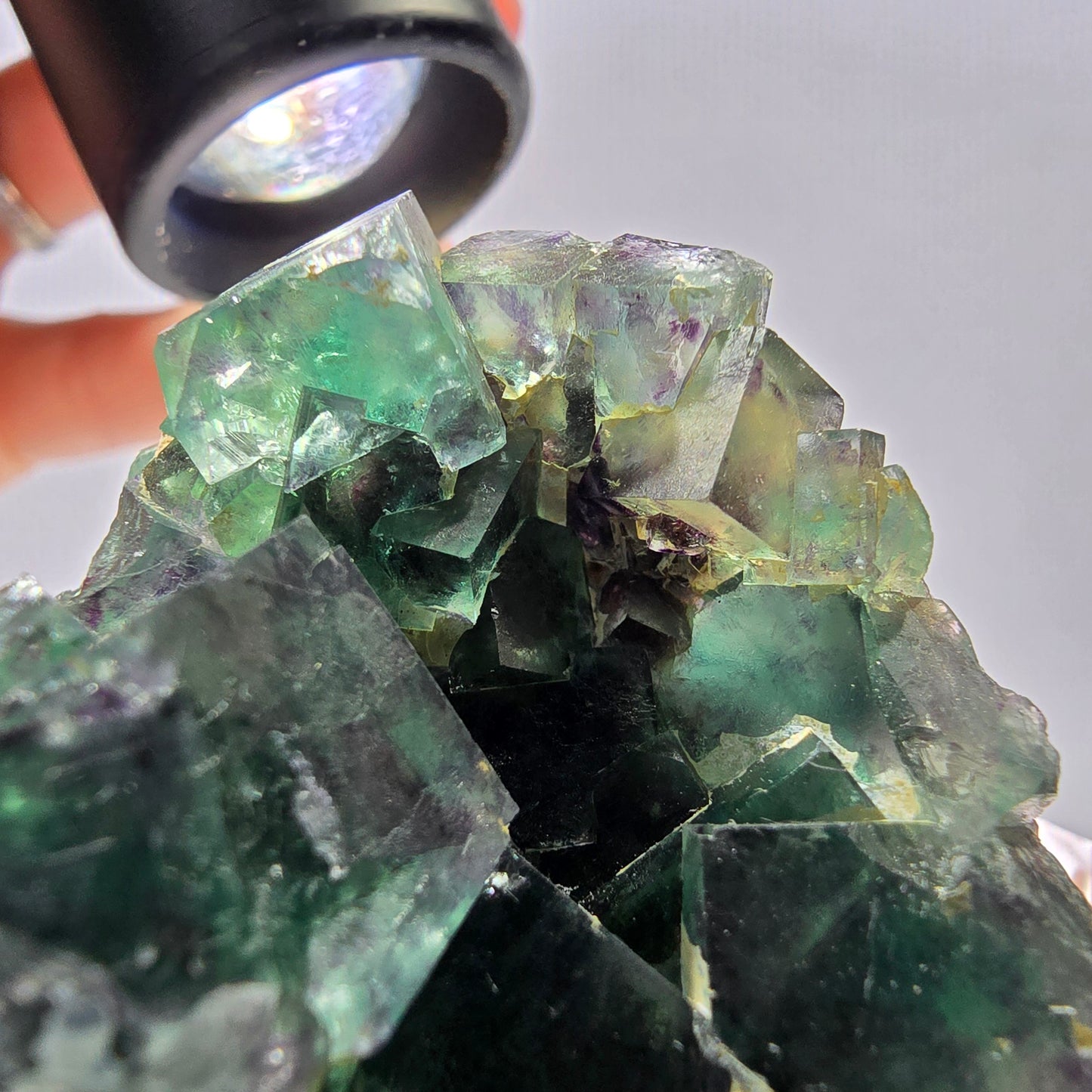 Spécimen de cube de fluorite fantôme parqueté vert violet Okorusu, Namibie 55*48*39mm
