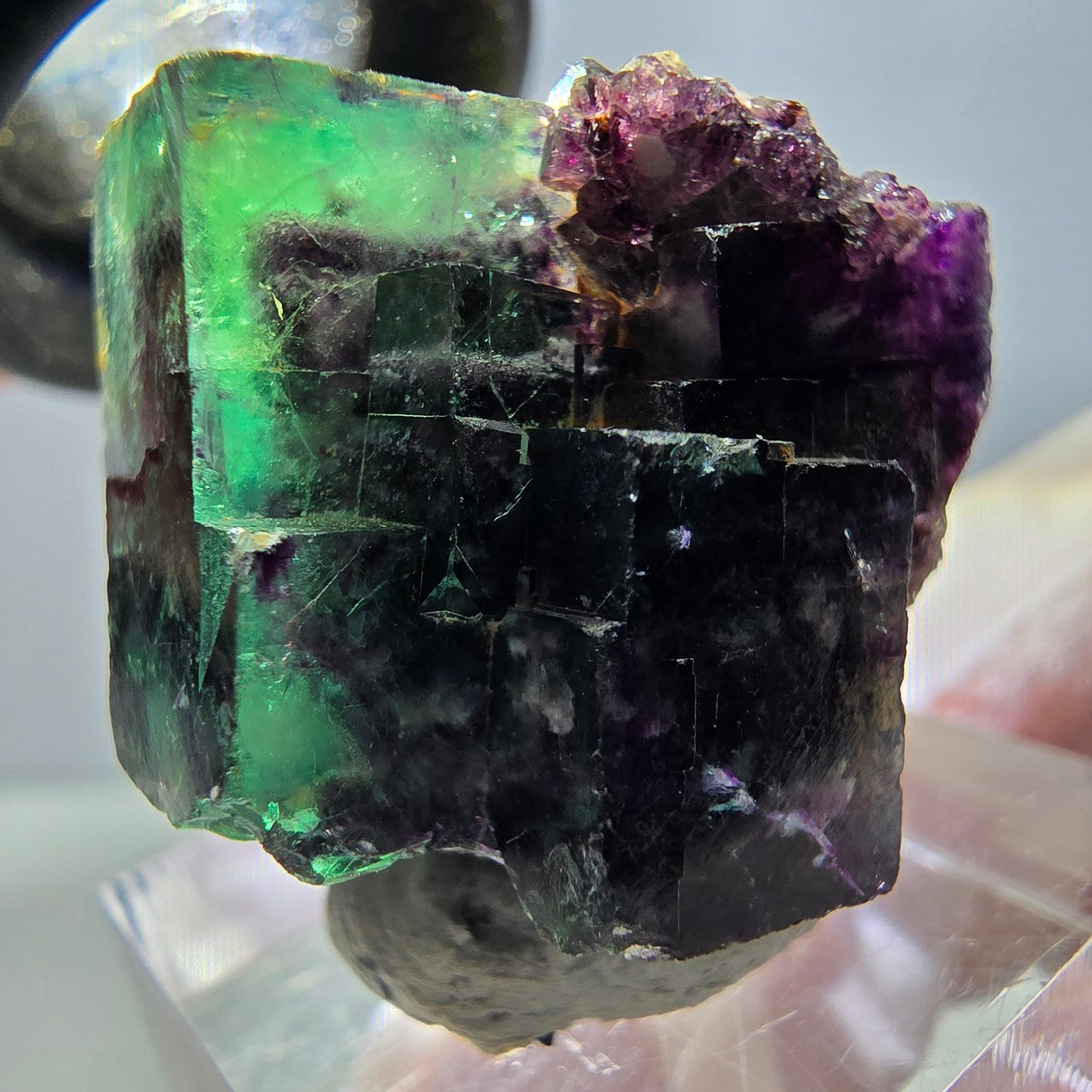 Spécimen de cube de fluorite fantôme, parqueté vert violet Okorusu, Namibie 28*27*22 mm